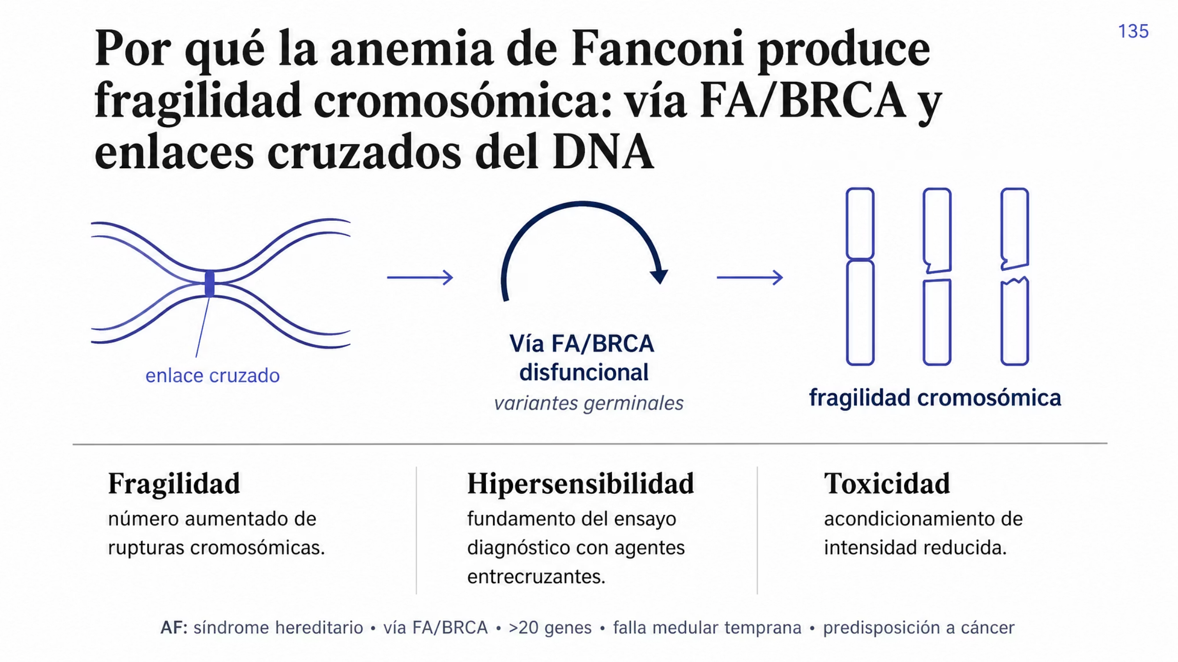 Ilustración conceptual en tres momentos. A la izquierda, un fragmento de doble hélice de DNA con un enlace cruzado que une ambas cadenas, marcado como la lesión central. En el centro, la vía de reparación FA/BRCA representada como un proceso que no se completa. A la derecha, cromosomas esquemáticos con rupturas del trazo. Debajo, tres consecuencias: fragilidad cromosómica con aumento de rupturas, hipersensibilidad a los agentes que generan enlaces cruzados en el DNA y toxicidad que obliga a esquemas de acondicionamiento de intensidad reducida.