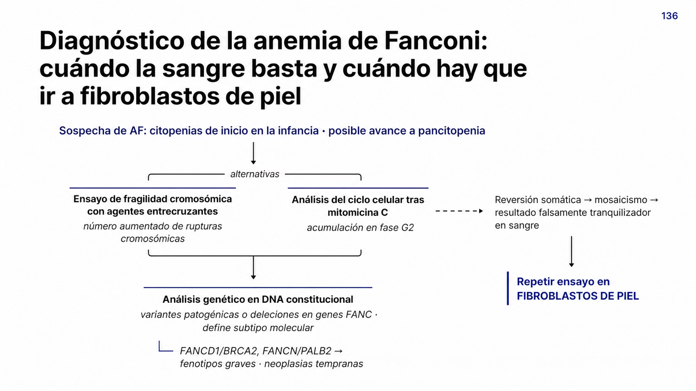 Algoritmo descendente del diagnóstico de anemia de Fanconi. Entrada por sospecha clínica, con citopenias que suelen empezar en la infancia y pueden llegar a pancitopenia. Dos pruebas equivalentes: ensayo de fragilidad cromosómica con agentes entrecruzantes, con aumento de rupturas cromosómicas, y análisis del ciclo celular tras mitomicina C, con acumulación en fase G2. Después, estudio genético en DNA constitucional que identifica variantes o deleciones en genes FANC y define el subtipo molecular, señalando que FANCD1 BRCA2 y FANCN PALB2 se asocian con fenotipos graves y neoplasias tempranas. Una rama separada advierte que la reversión somática en células sanguíneas genera mosaicismo y resultados falsamente tranquilizadores, y termina indicando el ensayo de fragilidad cromosómica en fibroblastos de piel.