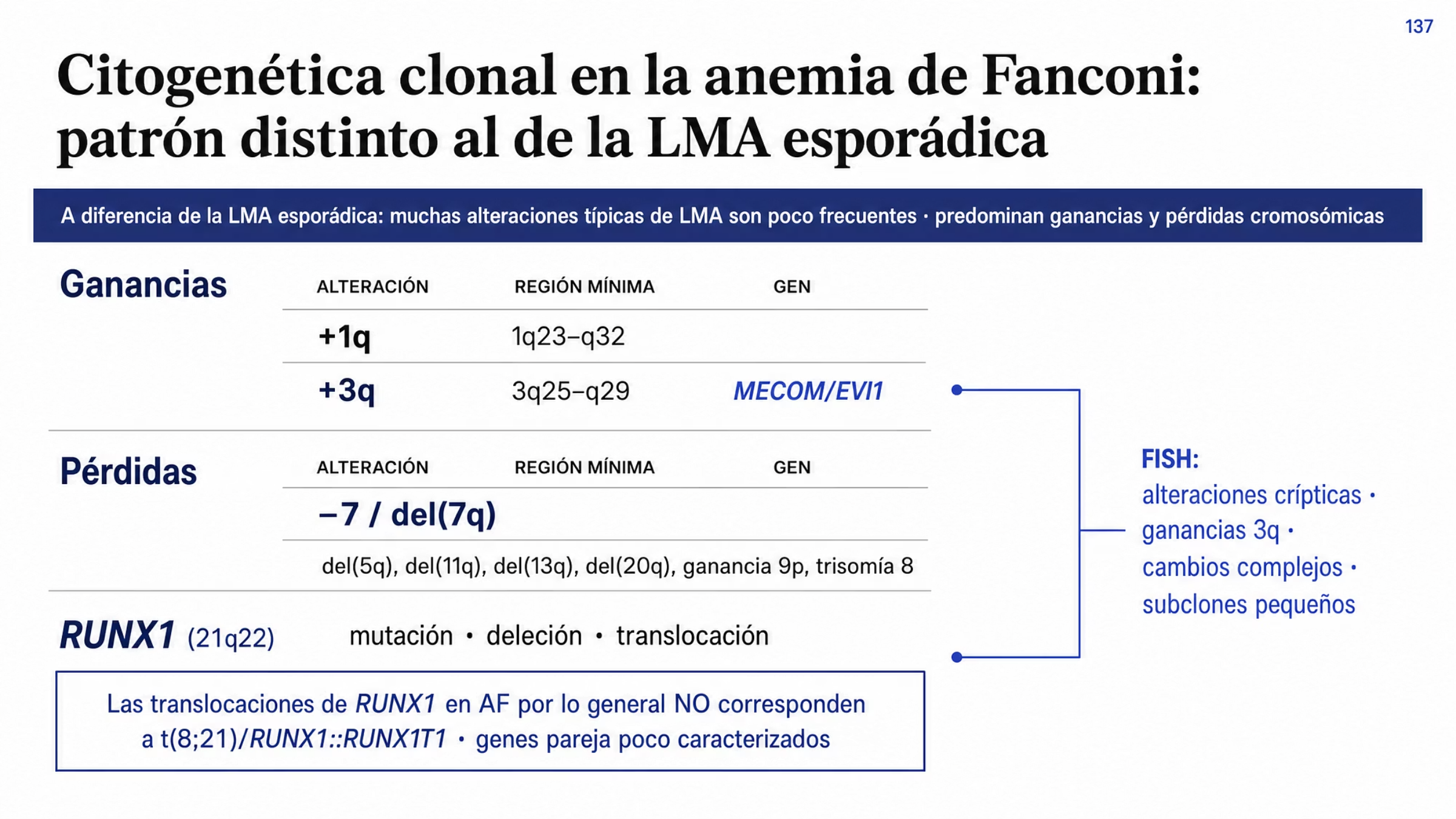 Mapa citogenético en tres agrupaciones, encabezado por la advertencia de que, a diferencia de la leucemia mieloide aguda esporádica, aquí predominan las ganancias y las pérdidas cromosómicas. Ganancias: más 1q con región mínima 1q23 a q32, y más 3q con región 3q25 a q29, que incluye MECOM EVI1. Pérdidas: menos 7 o deleción 7q, y como conjunto menos frecuente del 5q, del 11q, del 13q, del 20q, ganancia 9p y trisomía 8. Bloque de RUNX1 en 21q22 por mutación, deleción o translocación, con la advertencia de que estas translocaciones por lo general no corresponden a t(8;21) RUNX1::RUNX1T1 y de que varios genes pareja siguen poco caracterizados. Un carril lateral indica que el FISH complementa el cariotipo en alteraciones crípticas, sobre todo ganancias 3q y alteraciones de RUNX1, caracteriza cambios complejos con estrategias multicolor y detecta subclones pequeños.