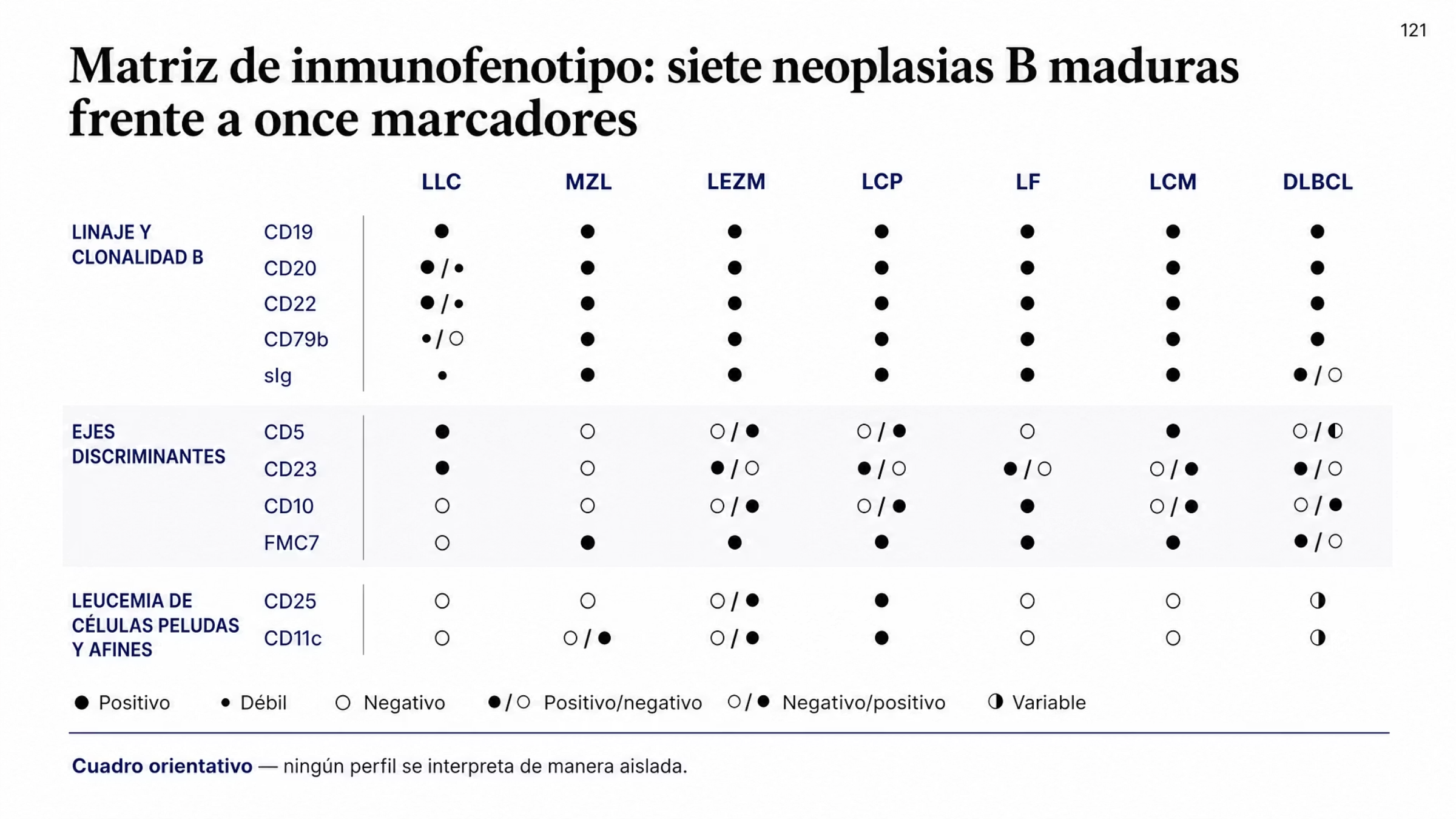 Matriz de once marcadores frente a siete neoplasias B maduras: LLC, MZL, LEZM, LCP, LF, LCM y DLBCL. Los marcadores se agrupan en tres familias. Linaje y clonalidad B, con CD19, CD20, CD22, CD79b y sIg, positivos en general y con expresión débil característica en la LLC. Ejes discriminantes, con CD5 positivo en LLC y LCM, CD23 positivo en LLC, CD10 positivo en LF y FMC7 negativo sólo en LLC. Marcadores de leucemia de células peludas y entidades afines, con CD25 y CD11c positivos en la leucemia de células peludas y con valores variables en el linfoma esplénico de células B con nucléolos prominentes. Una leyenda explica los valores de positivo, negativo, expresión débil, variable y las formas mixtas, y al pie se advierte que el cuadro es orientativo y que ningún perfil se interpreta de manera aislada.