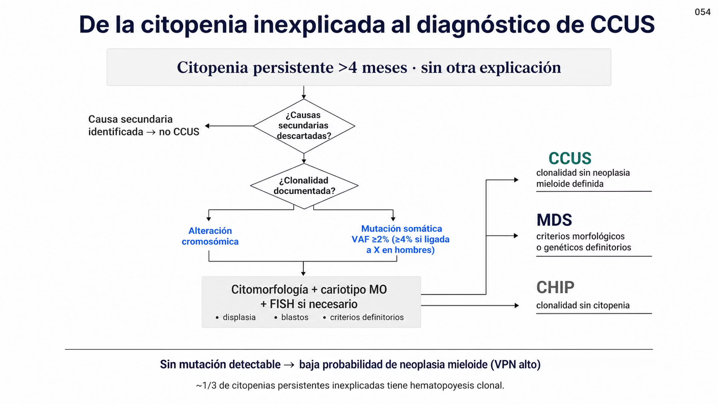 Algoritmo vertical que parte de una o más citopenias persistentes de más de cuatro meses sin otra explicación, pasa por el descarte de causas secundarias y por la documentación de hematopoyesis clonal mediante alteraciones cromosómicas o mutaciones somáticas con frecuencia alélica de la variante mayor o igual a 2 por ciento, o mayor o igual a 4 por ciento en mutaciones ligadas al cromosoma X en hombres, continúa con el estudio de médula ósea que valora displasia, porcentaje de blastos y criterios definitorios, y termina en tres desenlaces: CCUS cuando hay clonalidad y citopenia sin criterios de neoplasia mieloide definida, MDS cuando se cumplen criterios genéticos o morfológicos, y CHIP cuando hay clonalidad sin citopenia inexplicada. Al pie se indica que sin mutaciones detectables la probabilidad de neoplasia mieloide es relativamente baja.