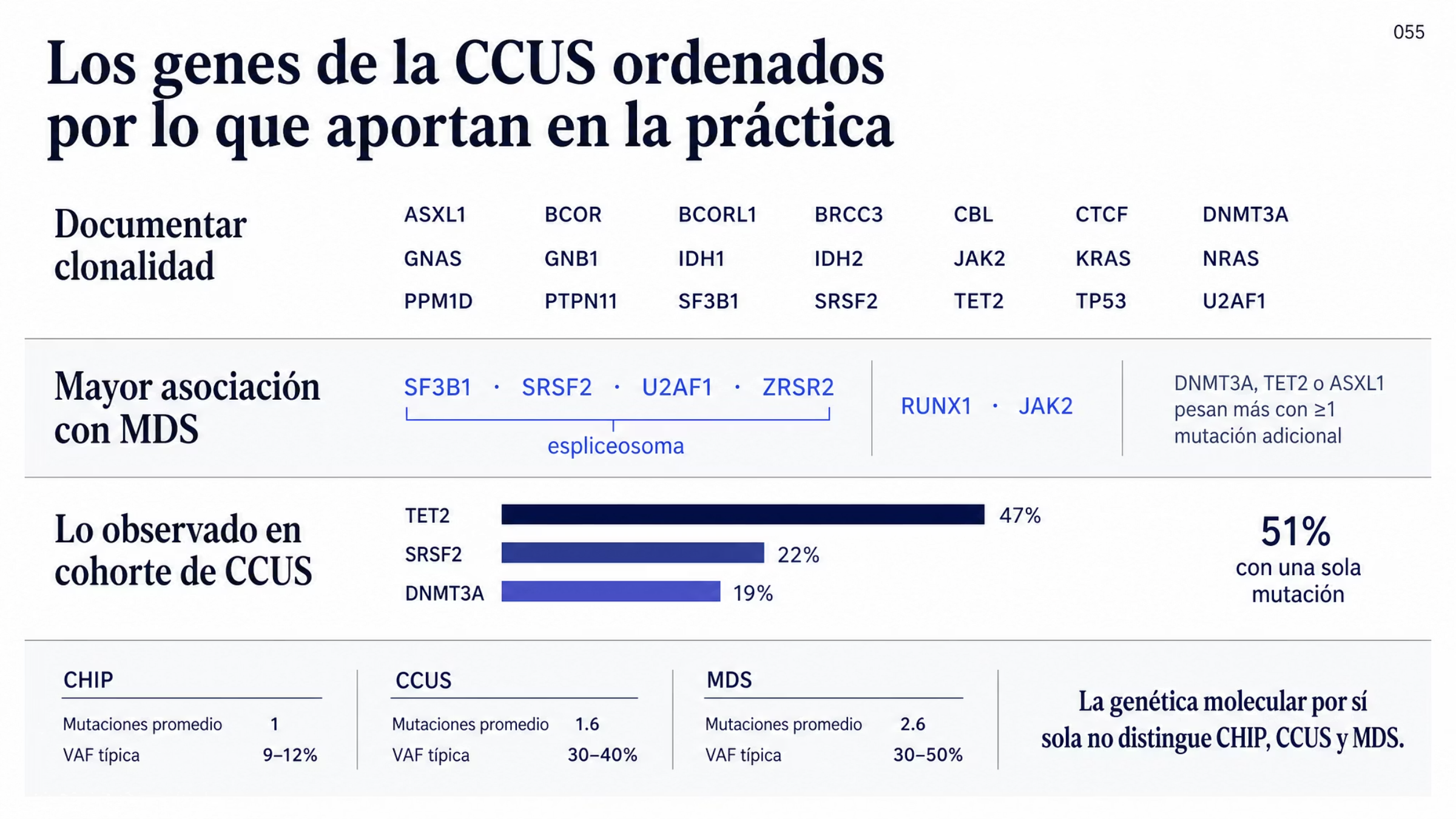 Mapa molecular en tres franjas. La primera reúne los genes conductores de la OMS 2022 asociados con hematopoyesis clonal, entre ellos ASXL1, DNMT3A, TET2, SF3B1, SRSF2, TP53 y U2AF1. La segunda destaca los genes con mayor asociación con MDS: los del espliceosoma SF3B1, SRSF2, U2AF1 y ZRSR2, más RUNX1 y JAK2, con la nota de que DNMT3A, TET2 o ASXL1 pesan más si se acompañan de al menos otra mutación. La tercera muestra las frecuencias observadas en una cohorte de 400 pacientes con CCUS: TET2 47 por ciento, SRSF2 22 por ciento y DNMT3A 19 por ciento, y 51 por ciento con una sola mutación somática. Al pie, el promedio de mutaciones y la frecuencia alélica típica en CHIP, CCUS y MDS.