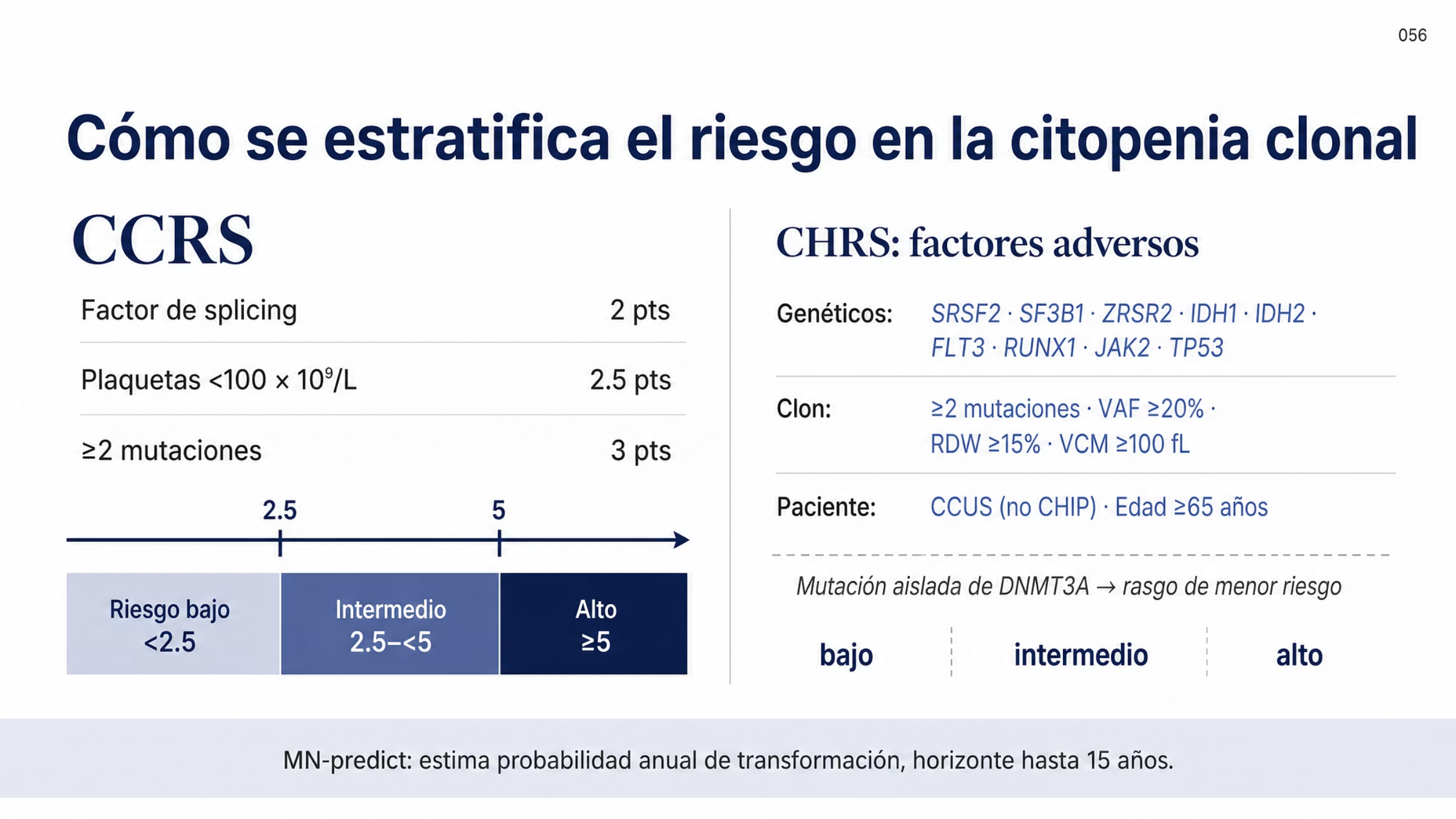 Figura de estratificación de riesgo en dos bloques. A la izquierda, el Clonal Cytopenia Risk Score con tres factores y sus puntos: mutación de un factor de splicing 2 puntos, plaquetas menores de 100 por 10 a la nueve por litro 2.5 puntos y dos o más mutaciones 3 puntos, con una escala que define riesgo bajo por debajo de 2.5 puntos, intermedio de 2.5 a menos de 5 y alto de 5 o más. A la derecha, el Clonal Hematopoiesis Risk Score con sus factores adversos agrupados en genéticos, del clon y del paciente, incluidas las mutaciones de alto riesgo en SRSF2, SF3B1, ZRSR2, IDH1, IDH2, FLT3, RUNX1, JAK2 o TP53, varias mutaciones, frecuencia alélica de 20 por ciento o más, RDW de 15 por ciento o más, volumen corpuscular medio de 100 femtolitros o más, presencia de citopenia y edad de 65 años o más, con la mutación aislada de DNMT3A como rasgo de menor riesgo. Al pie, MN-predict con horizonte de hasta 15 años.