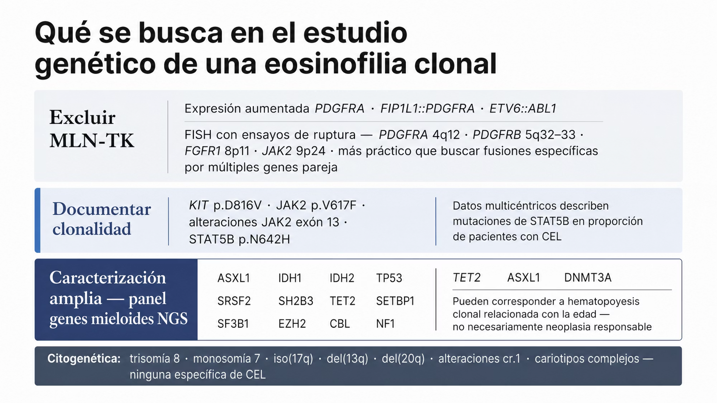 Mapa del estudio genético en la eosinofilia clonal, en tres franjas. Para excluir neoplasias mieloides o linfoides con rearreglos de tirosina cinasa: expresión aumentada de PDGFRA como marcador indirecto de rearreglos, búsqueda de FIP1L1::PDGFRA y de ETV6::ABL1, y ensayos de ruptura por FISH para PDGFRA, PDGFRB, JAK2 y FGFR1, preferidos porque los genes pareja son muchos. Para documentar clonalidad: KIT p.D816V, JAK2 p.V617F, alteraciones de JAK2 en el exón 13 y STAT5B p.N642H, con la nota de que datos multicéntricos describen mutaciones de STAT5B en una proporción de pacientes. Para caracterización amplia con panel de genes mieloides por secuenciación de nueva generación: ASXL1, IDH1, IDH2, TP53, SRSF2, SH2B3, TET2, SETBP1, SF3B1, EZH2, CBL y NF1, con la advertencia de que las variantes de TET2, ASXL1 y DNMT3A pueden corresponder a hematopoyesis clonal relacionada con la edad.