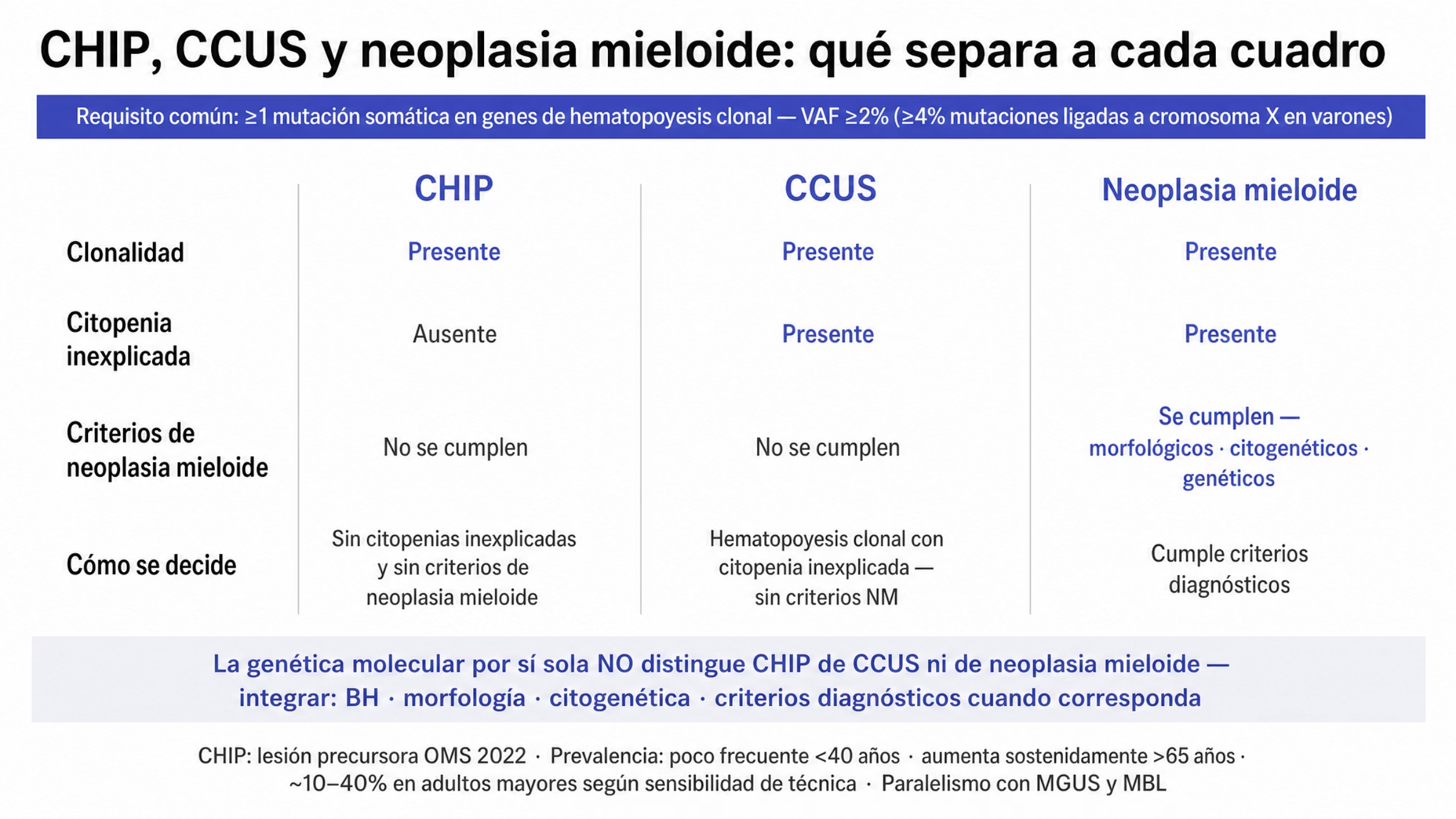 Comparación en tres columnas de CHIP, CCUS y neoplasia mieloide sobre cuatro criterios. Las tres comparten hematopoyesis clonal con frecuencia alélica de la variante de al menos 2%, y de al menos 4% para mutaciones ligadas al cromosoma X en varones. CHIP no tiene citopenia inexplicada ni cumple criterios de neoplasia mieloide; CCUS tiene citopenia inexplicada sin cumplir esos criterios; la neoplasia mieloide cumple criterios morfológicos, citogenéticos o genéticos. Al pie se indica que la genética molecular por sí sola no distingue los tres cuadros y que hay que integrar biometría hemática, morfología y criterios diagnósticos.
