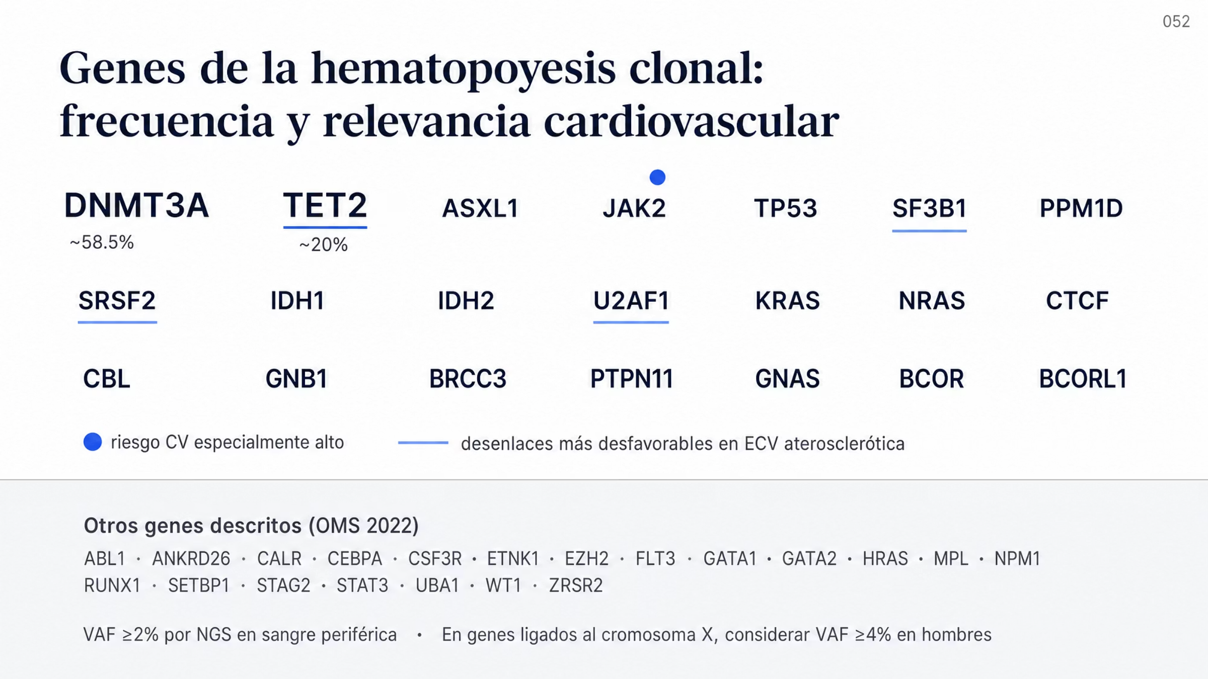 Mapa de genes asociados con hematopoyesis clonal según la OMS 2022. Un bloque principal reúne los genes frecuentes o con relevancia clínica, encabezados por DNMT3A con aproximadamente 58.5% y TET2 con aproximadamente 20%. JAK2 está marcado como el de riesgo cardiovascular especialmente alto, y TET2 junto con SF3B1, SRSF2 y U2AF1 aparecen marcados por desenlaces más desfavorables en enfermedad cardiovascular aterosclerótica. Un segundo bloque, en tipografía menor, enumera los demás genes descritos. Una nota final indica que se secuencian por NGS los genes afectados de manera recurrente y que la definición incluye frecuencia alélica de la variante de al menos 2%.