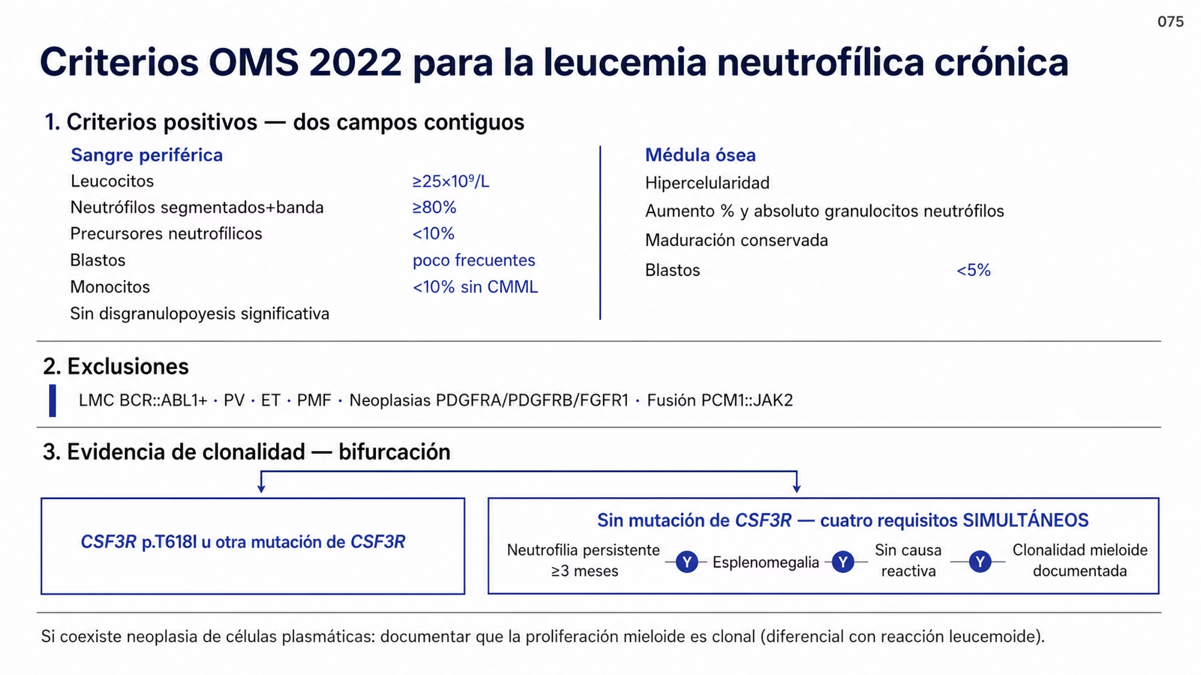 Algoritmo con los criterios de la OMS 2022 para leucemia neutrofílica crónica. En sangre periférica: leucocitos mayores o iguales a 25 por 10 a la nueve por litro, neutrófilos segmentados y en banda de 80% o más, precursores neutrofílicos menores de 10%, blastos poco frecuentes, monocitos menores de 10% sin criterios de leucemia mielomonocítica crónica y ausencia de disgranulopoyesis significativa. En médula ósea: hipercelularidad, aumento de granulocitos neutrófilos, maduración conservada y blastos menores de 5%. Se excluyen leucemia mieloide crónica BCR::ABL1 positiva, policitemia vera, trombocitemia esencial, mielofibrosis primaria, neoplasias con rearreglos de PDGFRA, PDGFRB o FGFR1 y neoplasias con fusión PCM1::JAK2. La clonalidad se documenta con mutación de CSF3R p.T618I u otra mutación de CSF3R o, en su ausencia, con neutrofilia de al menos tres meses, esplenomegalia, ausencia de causa reactiva y clonalidad mieloide demostrada.