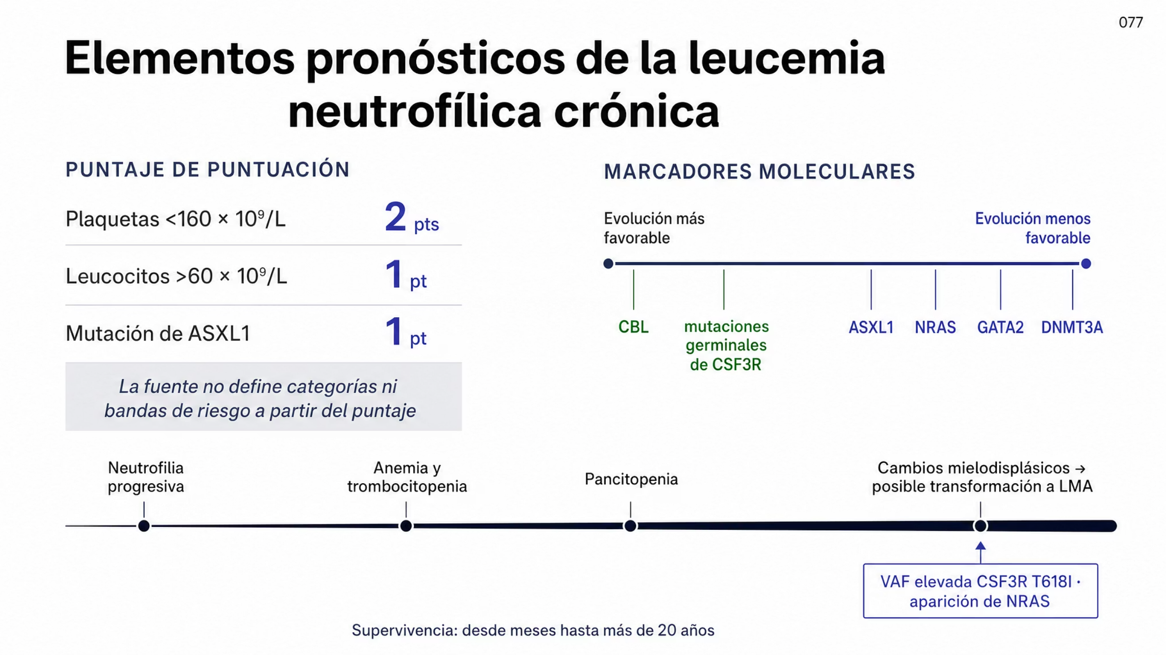 Figura pronóstica de la leucemia neutrofílica crónica en tres planos. A la izquierda, un sistema de puntuación con plaquetas menores de 160 por 10 a la nueve por litro, 2 puntos; leucocitos mayores de 60 por 10 a la nueve por litro, 1 punto; y mutación de ASXL1, 1 punto, con la aclaración de que la fuente no define bandas de riesgo. A la derecha, un eje que sitúa CBL y las mutaciones germinales de CSF3R del lado de evolución más favorable y ASXL1, NRAS, GATA2 y DNMT3A del lado menos favorable. Abajo, la secuencia evolutiva de neutrofilia progresiva a anemia y trombocitopenia, luego pancitopenia y finalmente cambios mielodisplásicos que pueden anticipar la transformación a leucemia mieloide aguda.
