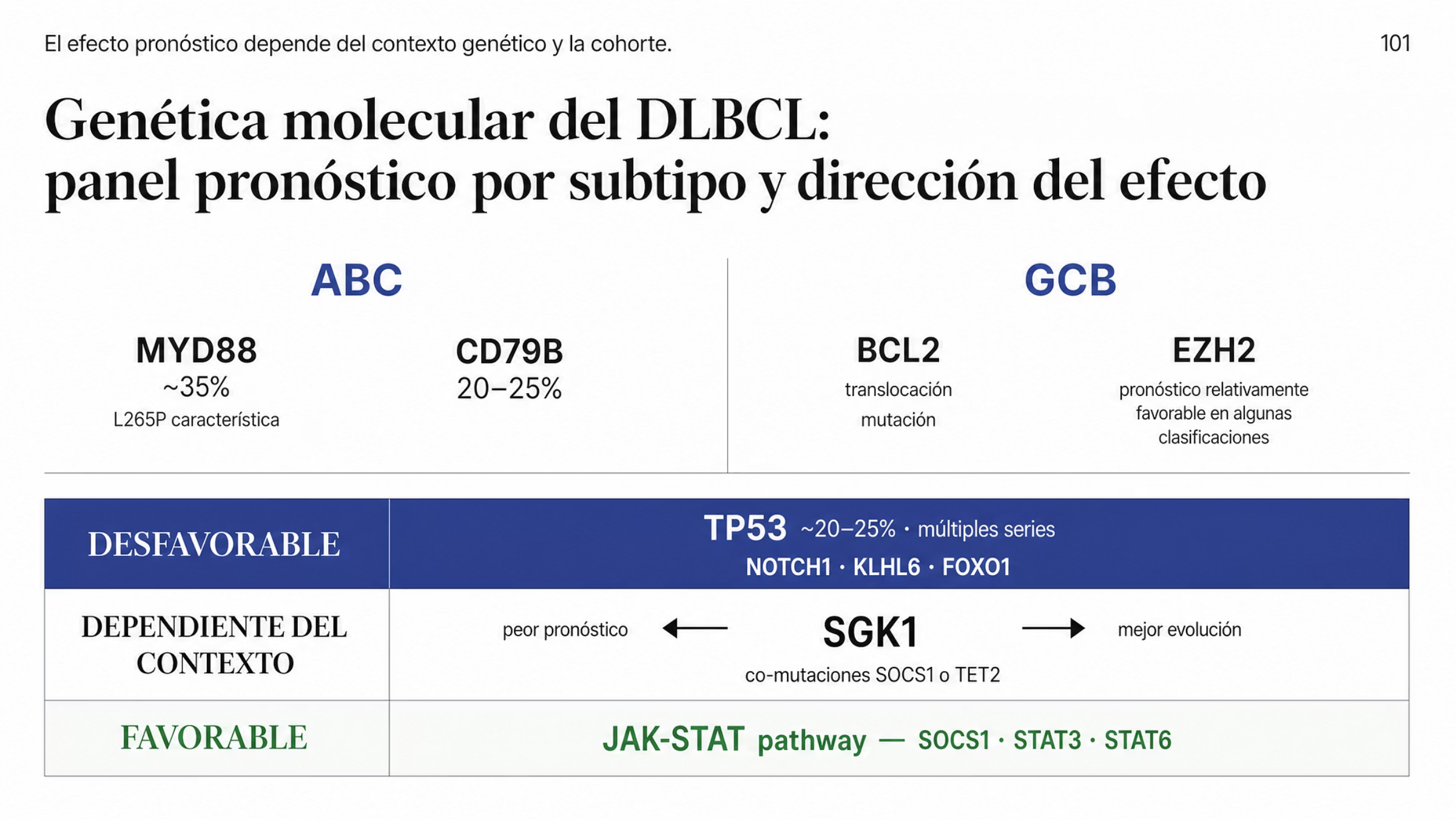 Mapa molecular en dos capas. Capa de orientación por subtipo, sin color: en ABC, MYD88 mutado en cerca de 35% de los casos con la variante L265P como característica y CD79B en 20 a 25%; en GCB, translocaciones y mutaciones de BCL2 y clústeres con EZH2 de pronóstico relativamente favorable en ciertas clasificaciones. Capa de dirección del efecto en tres bandas: desfavorable con TP53 en 20 a 25%, NOTCH1, KLHL6 y FOXO1; dependiente del contexto con SGK1 y sus dos direcciones contradictorias según co-mutaciones de SOCS1 o TET2; favorable con la vía JAK-STAT, SOCS1, STAT3 y STAT6. Encabeza la advertencia de que frecuencia y efecto dependen de la cohorte.