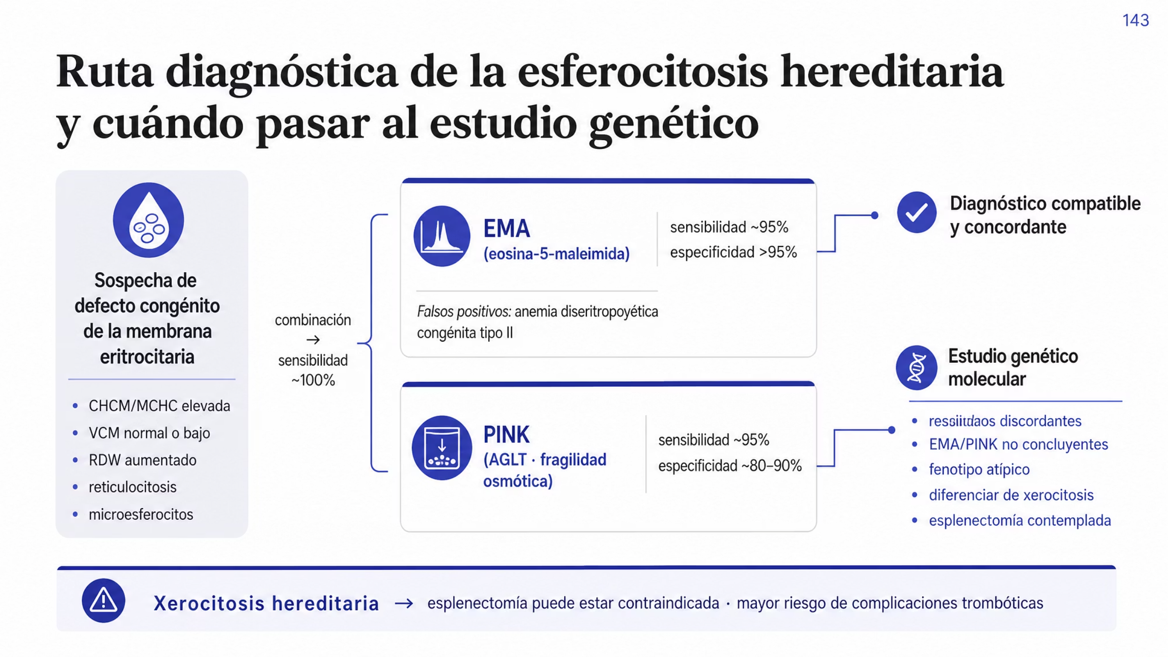 Algoritmo diagnóstico de la esferocitosis hereditaria. Desde la sospecha clínica, con concentración media de hemoglobina corpuscular elevada, volumen corpuscular medio normal o bajo, RDW aumentado, reticulocitosis y microesferocitos, se realizan dos pruebas funcionales: la prueba con eosina-5-maleimida por citometría de flujo, con sensibilidad cercana a 95% y especificidad mayor de 95%, y la prueba PINK o AGLT, con sensibilidad cercana a 95% y especificidad de 80 a 90%; combinadas, la sensibilidad se acerca a 100%. El estudio molecular se indica ante resultados discordantes, pruebas no concluyentes, fenotipos atípicos, necesidad de diferenciar de otras membranopatías como la xerocitosis y cuando se contempla la esplenectomía, procedimiento que puede estar contraindicado en ciertas formas de xerocitosis por el riesgo de complicaciones trombóticas.