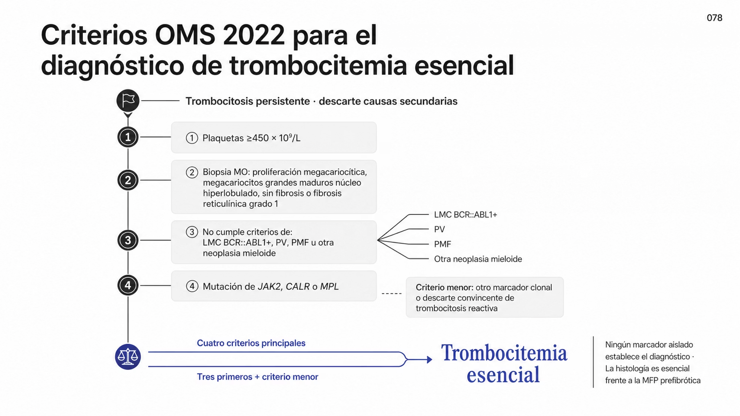 Recorrido diagnóstico de la trombocitemia esencial según la OMS 2022. Desde una trombocitosis persistente se revisan cuatro criterios principales: plaquetas de al menos 450 por 10 a la novena por litro; biopsia de médula ósea con proliferación predominante de la línea megacariocítica y megacariocitos grandes y maduros de núcleo hiperlobulado, sin fibrosis relevante o sólo fibrosis reticulínica grado 1; no cumplir criterios de leucemia mieloide crónica BCR::ABL1 positiva, policitemia vera, mielofibrosis primaria u otra neoplasia mieloide; y detección de una mutación de JAK2, CALR o MPL. Como criterio menor se acepta otro marcador clonal o el descarte convincente de trombocitosis reactiva. El diagnóstico requiere los cuatro criterios principales o los tres primeros más el criterio menor.
