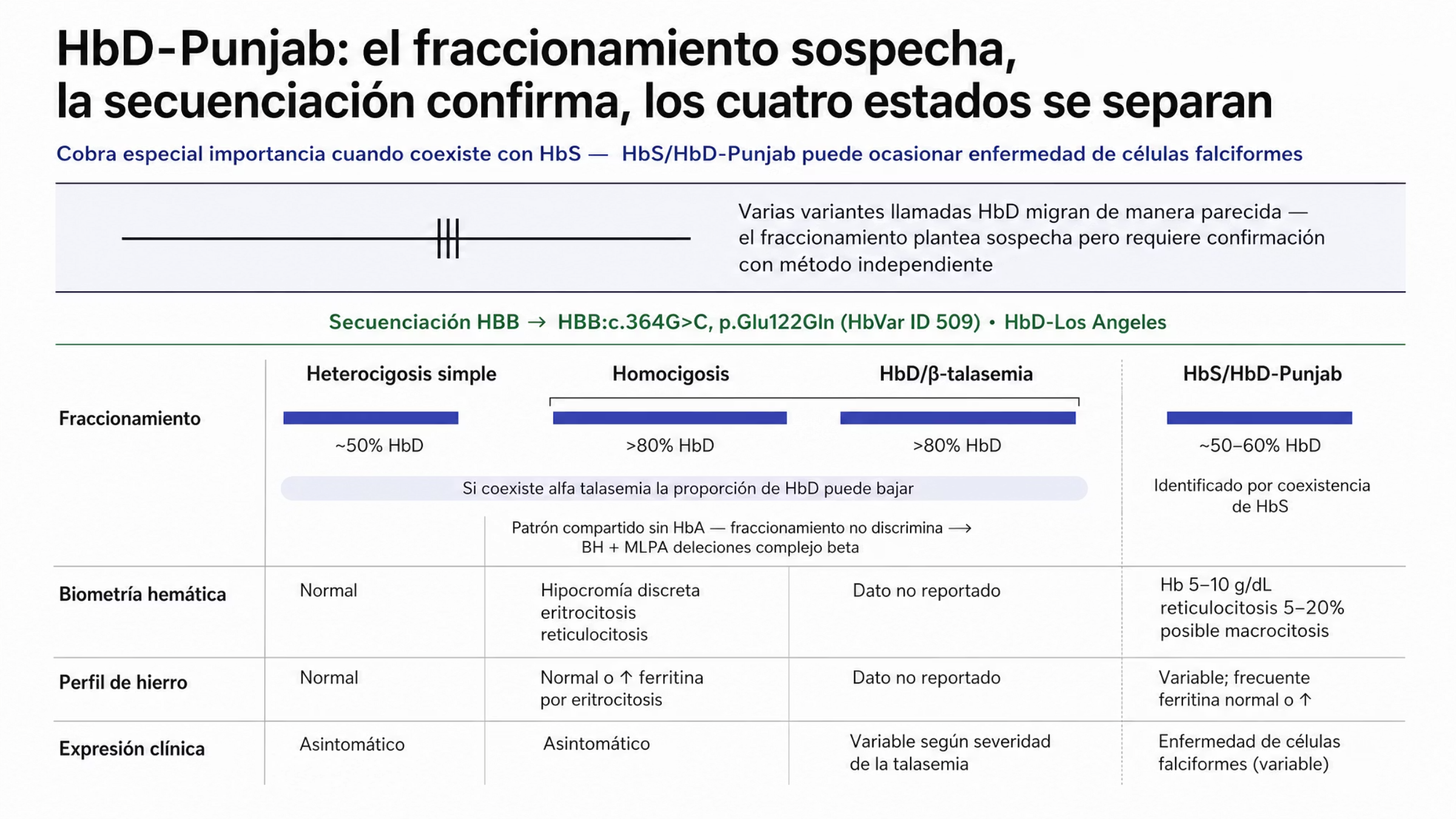 Figura en tres tiempos sobre la hemoglobina D-Punjab. Una línea de entrada indica que la variante cobra especial importancia cuando coexiste con HbS, porque la heterocigosis compuesta HbS/HbD-Punjab puede ocasionar enfermedad de células falciformes. El primer tiempo es una banda de sospecha con un carril de migración esquemático, sin escala ni números, que advierte que varias variantes con el nombre de HbD tienen patrones electroforéticos parecidos sin compartir la misma relevancia clínica y que, como pueden migrar de manera parecida, para identificar la HbD-Punjab hace falta confirmar el hallazgo con un método independiente. El segundo tiempo es una compuerta de confirmación que atraviesa el ancho completo: la secuenciación de HBB con el hallazgo de c punto 364 G mayor que C, p punto Glu122Gln, identificador HbVar 509, confirma la HbD-Punjab, conocida también como HbD-Los Angeles. El tercer tiempo despliega cuatro estados sobre los mismos ejes de fraccionamiento de hemoglobinas, biometría hemática, perfil de hierro y expresión clínica. En la heterocigosis simple la HbD representa un poco menos de 50% del total, junto con HbA y HbA2, la biometría hemática es por lo general normal, el perfil de hierro suele ser normal y el cuadro suele cursar asintomático. En la homocigosis hay hipocromía discreta, eritrocitosis y reticulocitosis, la hemólisis puede acompañarse de aumento de la ferritina y en algunos casos aparece anemia hemolítica leve, sin cifras en la fuente. Un corchete une la homocigosis con la combinación de HbD y beta talasemia porque comparten el mismo patrón, sin HbA detectable y HbD de más de 80%, de modo que ahí el fraccionamiento no discrimina y la biometría hemática junto con el análisis de deleciones del complejo beta por MLPA ayudan a distinguir un estado del otro. La cuarta columna, separada por un filete, corresponde a la combinación HbS/HbD-Punjab, el único estado con cifras propias: hemoglobina de 5 a 10 gramos por decilitro, reticulocitosis de 5 a 20 por ciento y, en algunos casos, macrocitosis, con un fenotipo falciforme por lo general menos intenso que el de la HbSS, aunque la expresión clínica puede variar; la fuente no reporta fracciones para esta combinación. Una nota transversal sobre el renglón de fraccionamiento advierte que si coexiste una alfa talasemia la proporción de HbD puede bajar.