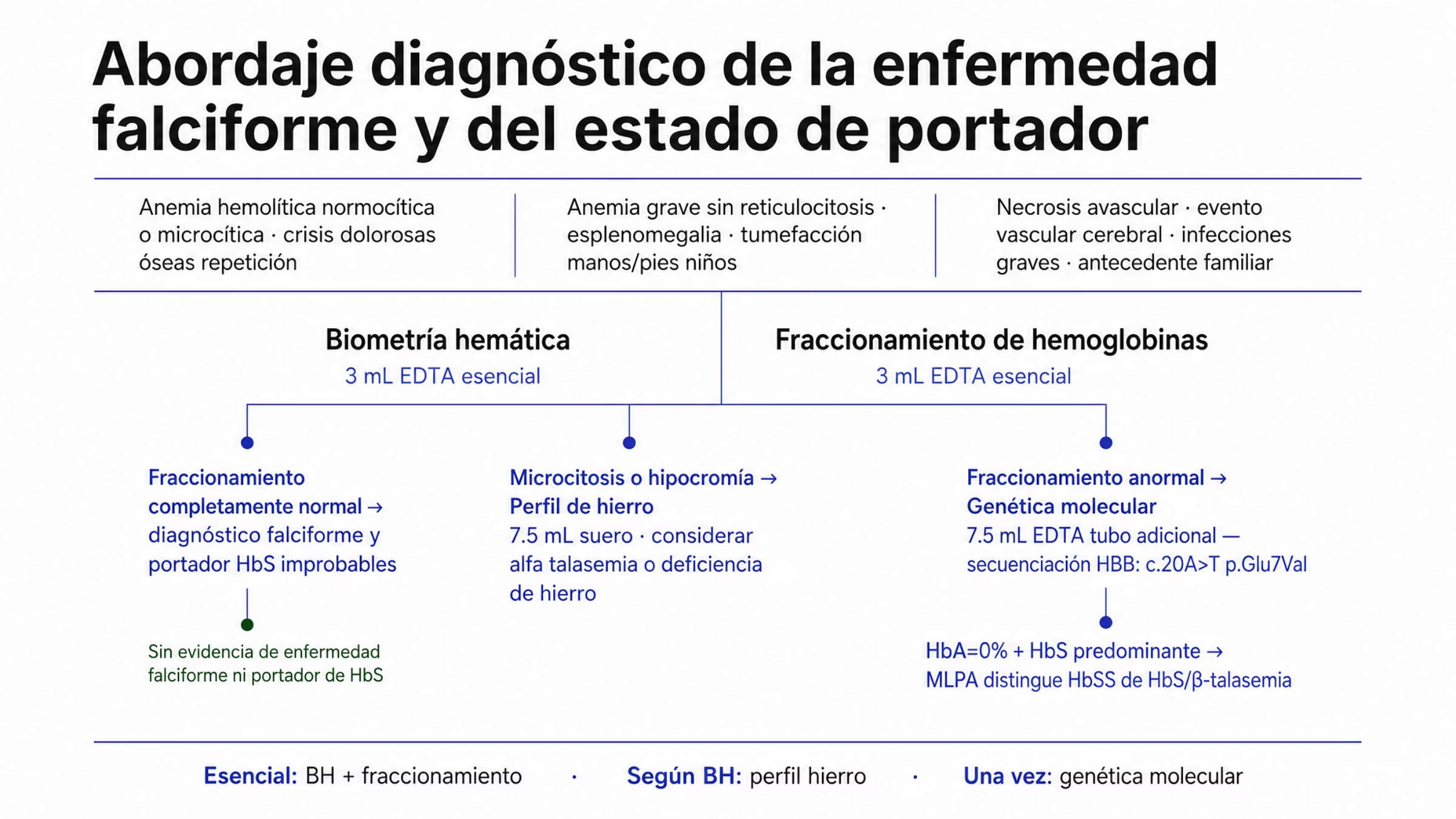 Recorrido diagnóstico de la enfermedad falciforme. La entrada reúne los motivos para buscarla, entre ellos anemia hemolítica, crisis dolorosas de repetición, anemia grave sin reticulocitosis, tumefacción de manos y pies en niños pequeños, necrosis avascular, evento vascular cerebral, infecciones graves sin explicación y antecedente familiar. Los estudios esenciales son biometría hemática y fraccionamiento de hemoglobinas, ambos con 3 mL de sangre con EDTA. Si el fraccionamiento es por completo normal, la enfermedad y el estado de portador resultan improbables. Si hay microcitosis o hipocromía, se solicita perfil de hierro y se considera alfa talasemia o deficiencia de hierro. Si el resultado es anormal o requiere confirmación, se secuencia HBB para identificar c.20A>T, p.Glu7Val, y cuando el fraccionamiento muestra prácticamente sólo HbS además de HbF y HbA2 se recurre a MLPA para distinguir HbSS de HbS con beta talasemia.