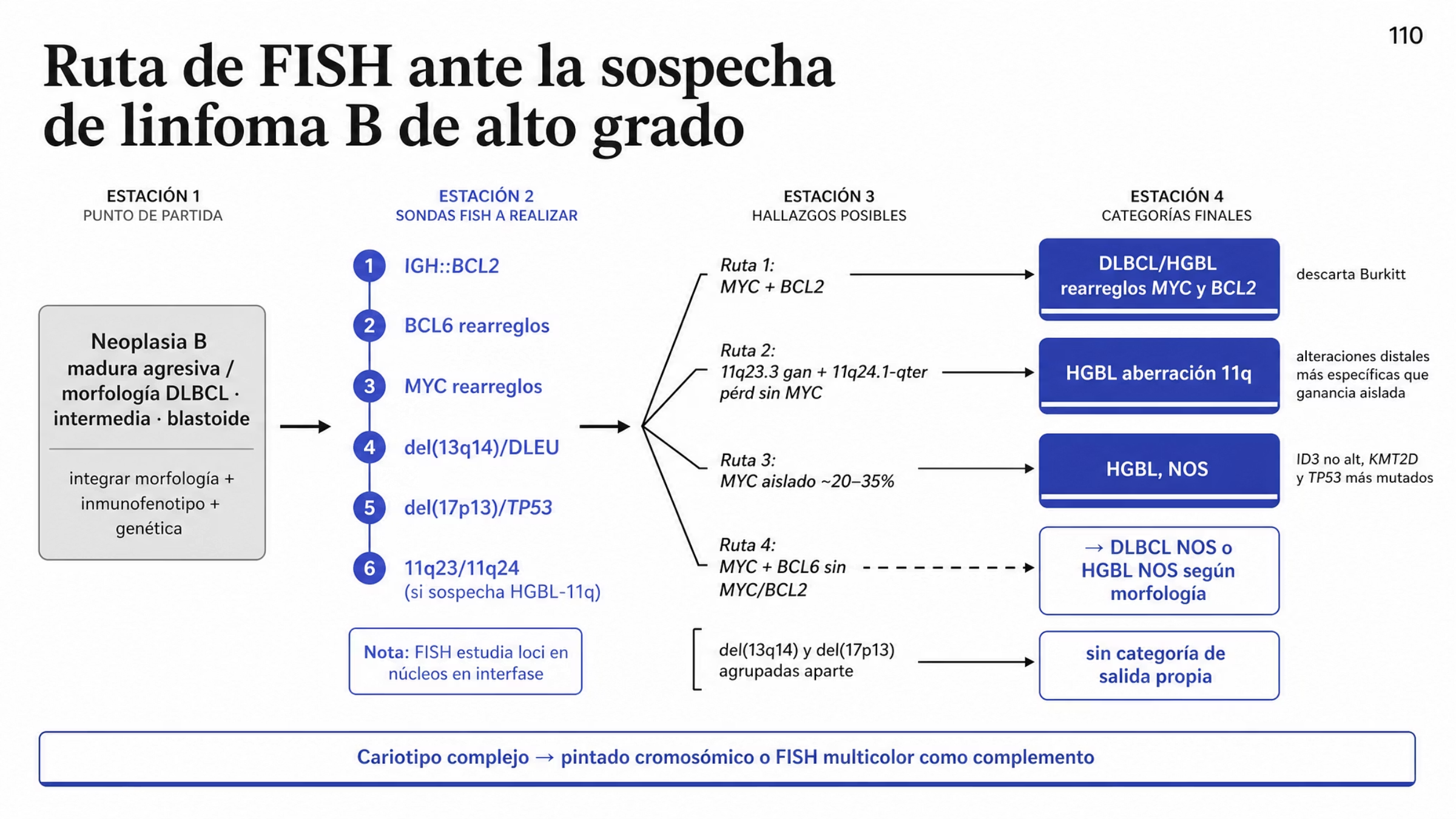 Algoritmo diagnóstico de izquierda a derecha. Parte de una neoplasia B madura agresiva con morfología tipo DLBCL, intermedia o blastoide, y pasa a un bloque de estudios por FISH que incluye IGH::BCL2, rearreglos de BCL6, rearreglos de MYC, del(13q14)/DLEU, del(17p13)/TP53 y el estudio 11q23/11q24 cuando se sospecha aberración 11q. De ahí se abren cuatro rutas. Los rearreglos de MYC y BCL2 llevan a DLBCL/HGBL con rearreglos de MYC y BCL2 y descartan el linfoma de Burkitt. La ganancia 11q23.3 con pérdida 11q24.1-qter sin rearreglo de MYC lleva a HGBL con aberración 11q. El rearreglo aislado de MYC lleva a HGBL, NOS, que corresponde a 20 a 35% de esos casos. Los rearreglos de MYC y BCL6 sin la combinación MYC y BCL2, dibujados con línea interrumpida, no constituyen entidad propia y el caso se clasifica como DLBCL, NOS o HGBL, NOS según la morfología. Un pie indica que el pintado cromosómico o el FISH multicolor complementan al cariotipo cuando las alteraciones son complejas.