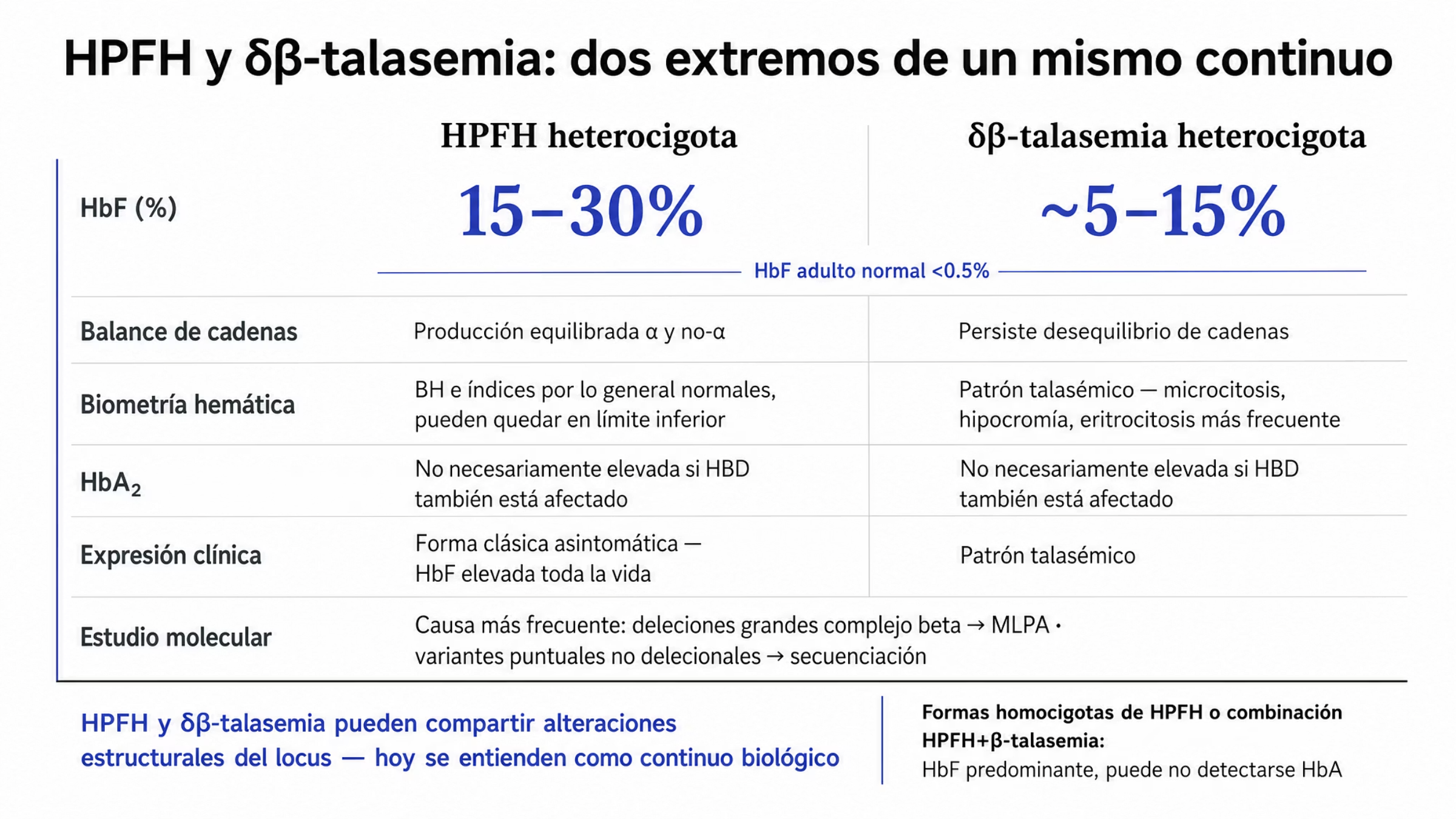 Comparación en dos columnas entre la persistencia hereditaria de hemoglobina fetal heterocigota y la δβ-talasemia heterocigota. En el fraccionamiento de hemoglobinas, la HbF va de 15 a 30% en la HPFH y de alrededor de 5 a 15% en la δβ-talasemia, con la referencia de que en el adulto la HbF representa menos de 0.5% del total o resulta indetectable. La HPFH mantiene una producción equilibrada de cadenas α y no-α, mientras en la δβ-talasemia persiste el desequilibrio. La biometría hemática y los índices eritrocitarios suelen ser normales en la HPFH, con posibles valores en el límite inferior, frente a un patrón talasémico con microcitosis, hipocromía y eritrocitosis en la δβ-talasemia. La HbA2 no necesariamente está elevada si HBD también está afectado. En el estudio molecular, las deleciones grandes del complejo de beta globina se detectan por MLPA y las variantes puntuales no delecionales por secuenciación. Un bloque aparte indica que en las formas homocigotas de HPFH o en combinaciones con beta talasemia puede no detectarse HbA y la HbF pasa a ser la fracción predominante, y una banda final recuerda que ambos fenotipos se entienden como un continuo biológico.