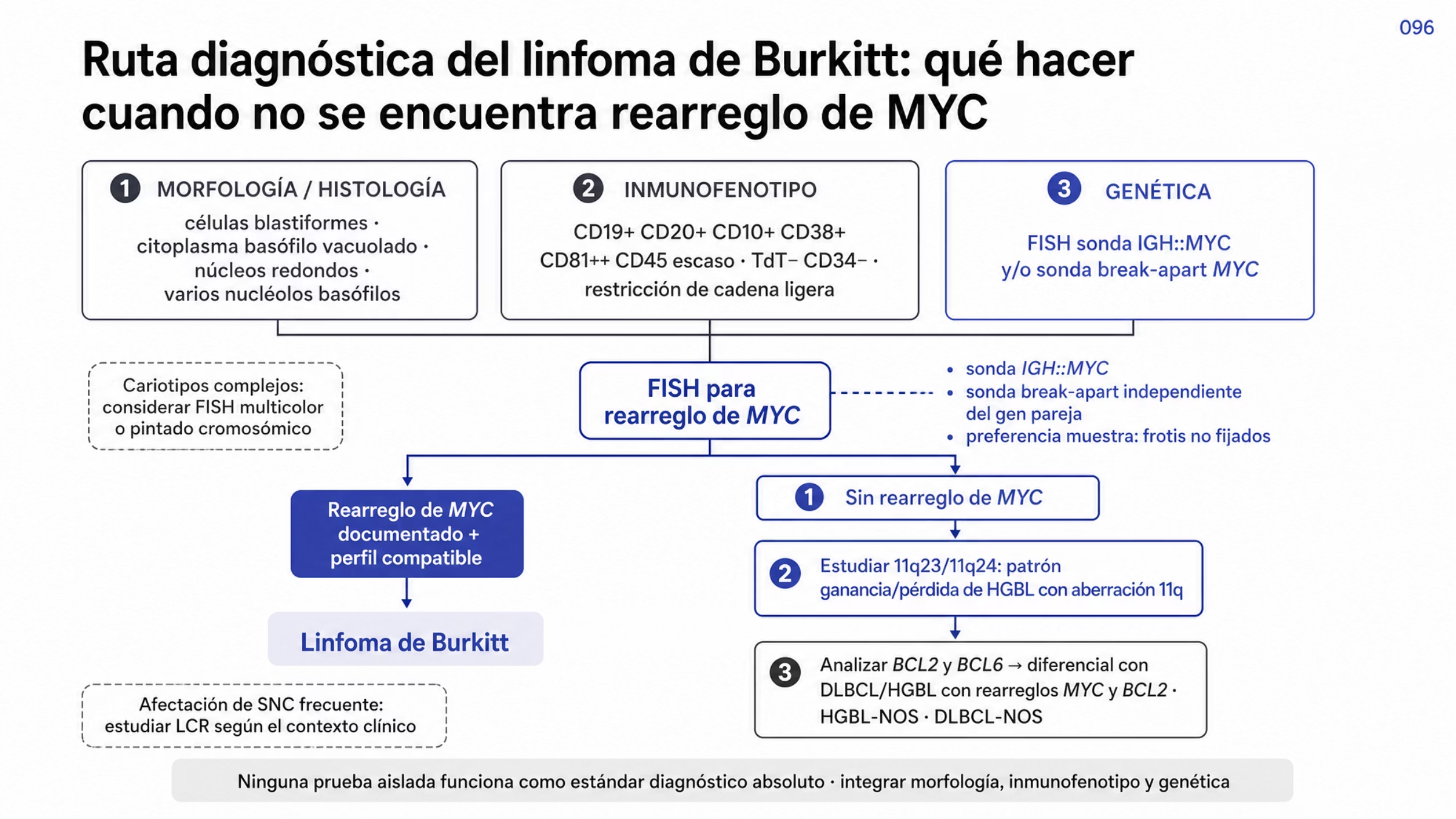 Algoritmo que parte del principio de que ninguna prueba aislada basta y de que el diagnóstico integra morfología o histología, inmunofenotipo y genética, representados como tres pilares en paralelo. De ellos desciende el estudio de FISH para rearreglo de MYC, con sonda específica para IGH::MYC, sonda break-apart para MYC o ambas, y con preferencia por frotis no fijados y sin teñir. Si se documenta el rearreglo de MYC con un perfil compatible, el punto final es el linfoma de Burkitt. Si no hay rearreglo de MYC, la ruta continúa con el estudio de 11q23/11q24 para identificar el patrón de ganancia y pérdida característico del linfoma B de alto grado con aberración 11q y, después, con el análisis de BCL2 y BCL6 para el diagnóstico diferencial con DLBCL y otros linfomas B de alto grado. Dos notas señalan la utilidad de las técnicas multicolor en cariotipos muy complejos y la conveniencia de estudiar el líquido cefalorraquídeo cuando el contexto clínico lo amerite.