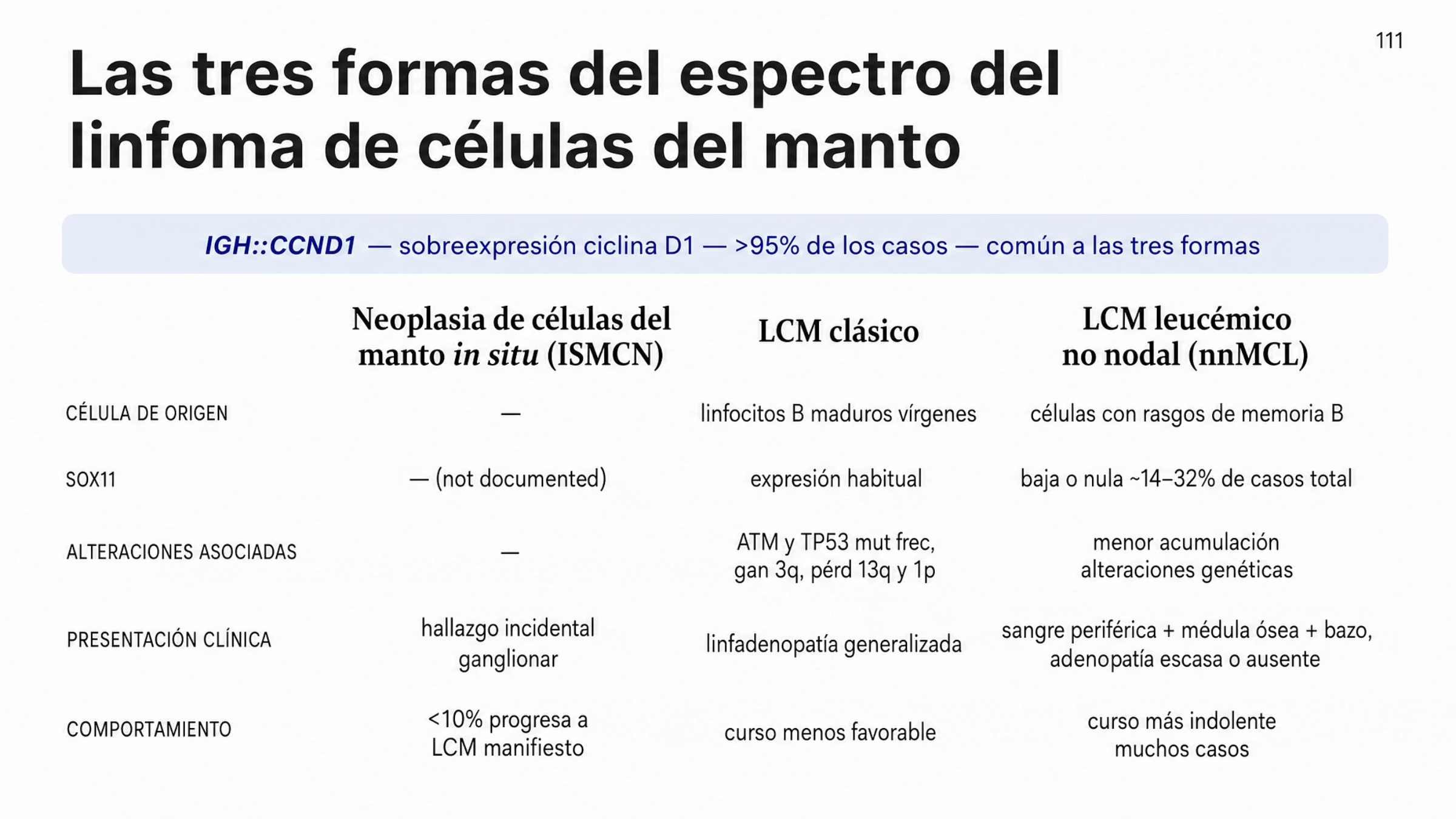 Comparación de las tres formas del linfoma de células del manto. Una banda superior indica la alteración común IGH::CCND1, con sobreexpresión de ciclina D1 en más de 95% de los casos. La primera columna corresponde a la neoplasia de células del manto in situ, hallazgo incidental en ganglios que progresa a enfermedad manifiesta en menos de 10% de los casos. La segunda columna corresponde a la forma clásica, originada en células parecidas a linfocitos B maduros vírgenes, con expresión habitual de SOX11, mutaciones frecuentes de ATM y TP53, ganancia 3q, pérdidas de 13q y 1p, linfadenopatía generalizada y curso menos favorable. La tercera columna corresponde a la forma leucémica no nodal, originada en células con rasgos de memoria B, con SOX11 bajo o ausente, menos alteraciones genéticas, afectación de sangre periférica, médula ósea y bazo con poca o ninguna adenopatía y curso más indolente en muchos casos.