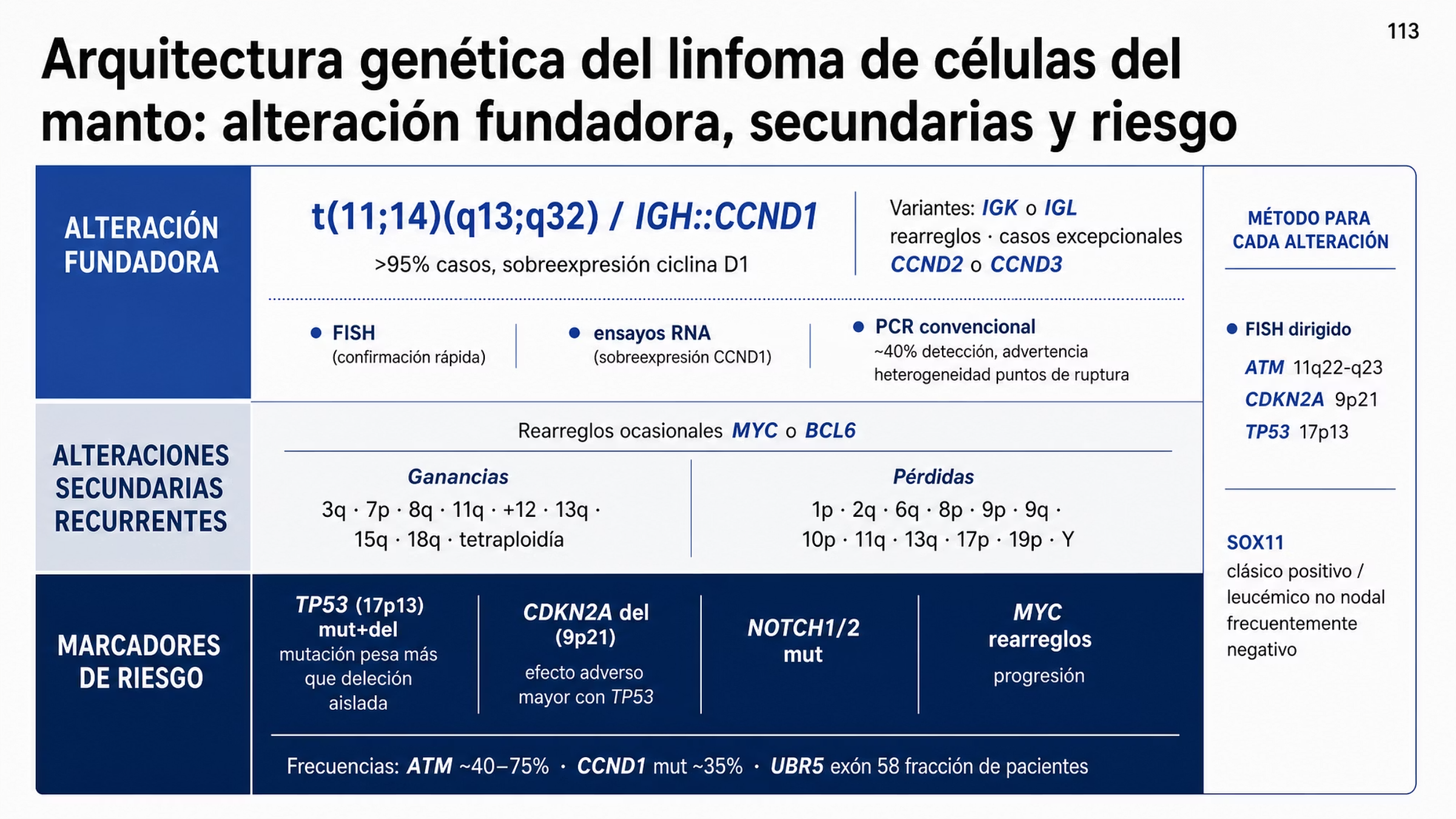Mapa genético del linfoma de células del manto en tres franjas. La franja superior muestra la alteración fundadora t(11;14)(q13;q32) con la fusión IGH::CCND1, presente en más de 95% de los casos, junto con las variantes que rearreglan CCND1 con los loci IGK o IGL y los casos excepcionales con CCND2 o CCND3; debajo se indican los métodos que la documentan: FISH, ensayos basados en RNA y PCR convencional, que detecta alrededor de 40% de los rearreglos. La franja intermedia reúne las alteraciones secundarias recurrentes, con ganancias de 3q, 7p, 8q, 11q, trisomía 12, 13q, 15q, 18q y tetraploidía, y pérdidas de 1p, 2q, 6q, 8p, 9p, 9q, 10p, 11q, 13q, 17p, 19p y Y, además de rearreglos ocasionales de MYC o BCL6. La franja inferior reúne las alteraciones de riesgo: TP53 en 17p13, con mayor peso de la mutación que de la deleción, CDKN2A en 9p21, NOTCH1 y NOTCH2, y rearreglos de MYC.