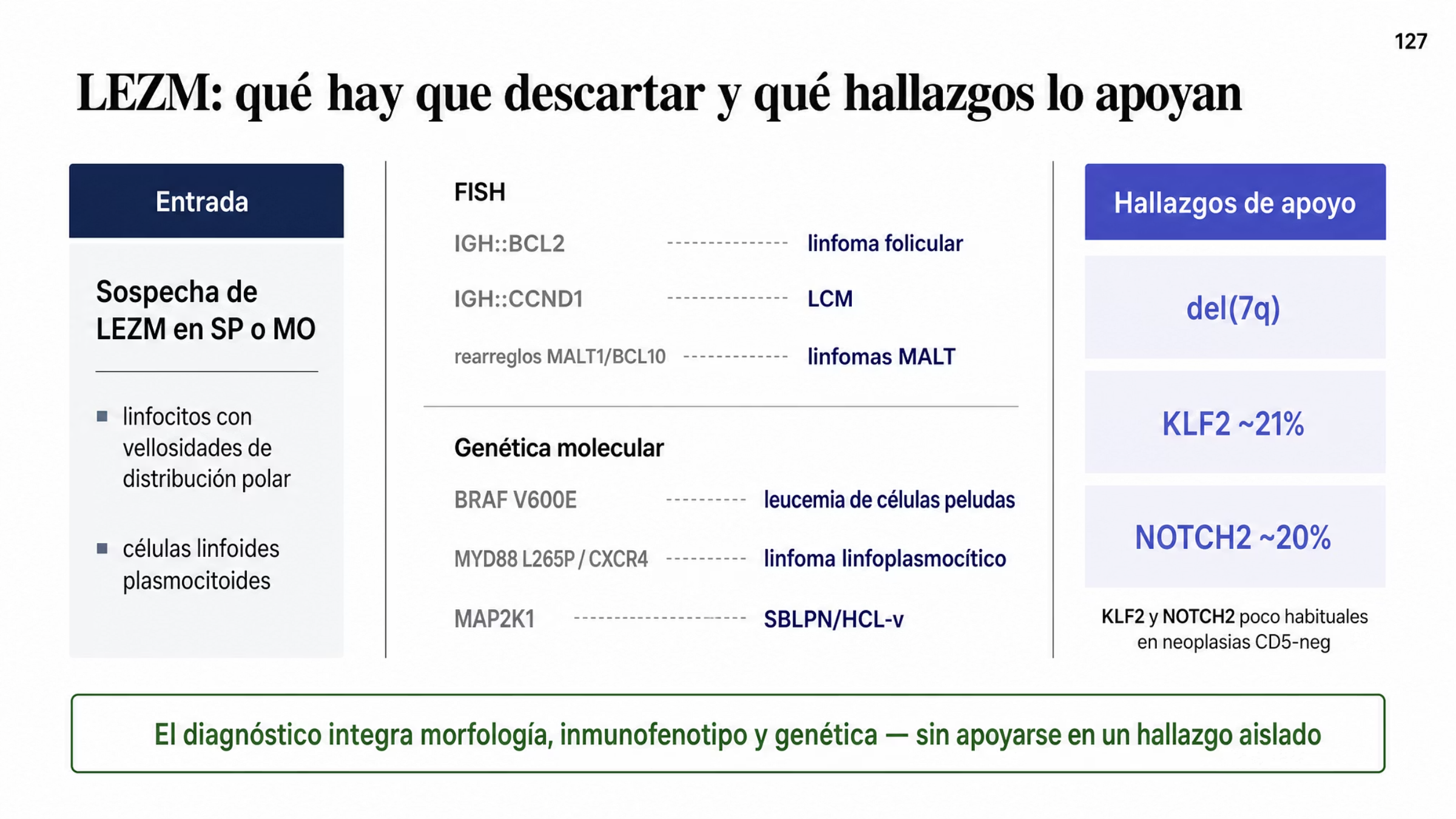 Algoritmo en tres tiempos. Sospecha: LEZM en sangre periférica o médula ósea con linfocitos de vellosidades cortas de distribución polar y células linfoides plasmocitoides. Qué hay que descartar, por estudio de FISH: IGH::BCL2 con t(14;18) del linfoma folicular, IGH::CCND1 con t(11;14) del linfoma de células del manto y rearreglos de MALT1 o BCL10 de algunos linfomas MALT; por genética molecular: BRAF V600E de la leucemia de células peludas, MYD88 L265P y mutaciones de CXCR4 del linfoma linfoplasmocítico y mutaciones de MAP2K1 descritas en SBLPN o HCL variante. Qué apoya el diagnóstico: del 7q y mutaciones de KLF2 en cerca de 21 por ciento y de NOTCH2 en cerca de 20 por ciento, poco habituales en varias neoplasias CD5 negativas. Cierre: el diagnóstico integra morfología, inmunofenotipo y genética.