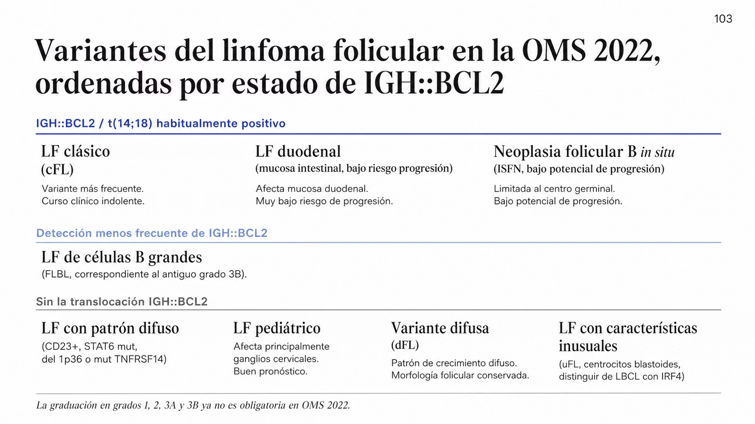 Composición jerárquica de las ocho variantes de linfoma folicular de la OMS 2022 agrupadas en tres franjas según el estado del rearreglo IGH::BCL2 con t(14;18). En la franja de habitualmente positivas están el LF clásico, el LF duodenal y la neoplasia folicular B in situ. En la franja de rearreglo detectado con menor frecuencia están el linfoma folicular de células B grandes, que corresponde en gran medida al antiguo grado 3B, y el LF con características inusuales. En la franja sin translocación de BCL2 están el LF con patrón de crecimiento difuso, con CD23 y mutaciones de STAT6, el LF pediátrico y la variante difusa. Al pie se indica que la graduación en grados 1, 2, 3A y 3B ya no es obligatoria.