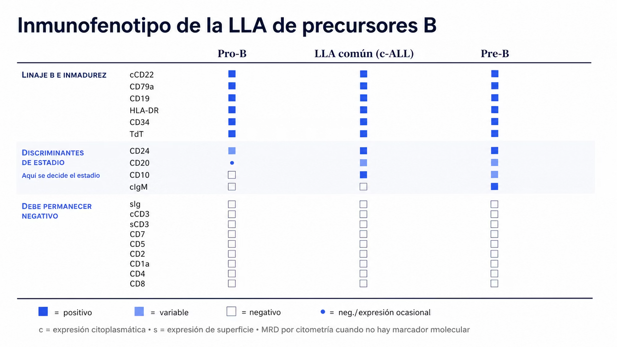 Matriz de tres columnas —Pro-B, LLA común y Pre-B— con diecinueve marcadores agrupados en tres bloques. El primer bloque reúne los marcadores positivos en los tres estadios: cCD22, CD79a, CD19, HLA-DR, CD34 y TdT. El segundo bloque, destacado, reúne los cuatro marcadores que cambian entre estadios: CD24, CD20, CD10 y cIgM; CD10 es negativo en Pro-B, positivo en LLA común y variable en Pre-B, mientras cIgM sólo es positivo en Pre-B. El tercer bloque reúne los marcadores que deben permanecer negativos en los tres estadios: sIg, cCD3, sCD3, CD7, CD5, CD2, CD1a, CD4 y CD8. Una clave al pie distingue positivo, negativo, variable y mayoritariamente negativo con expresión ocasional.