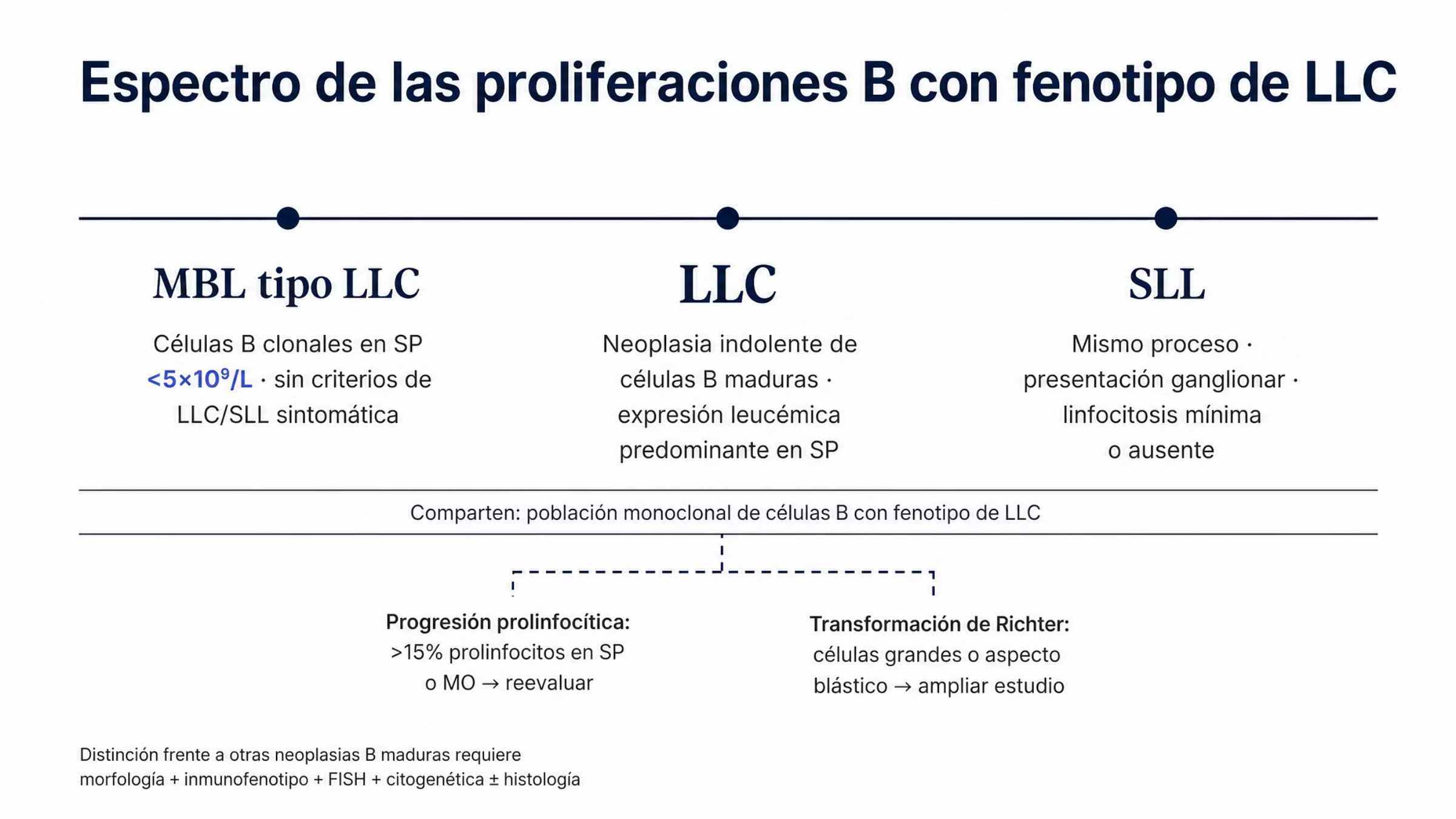 Eje horizontal que representa un mismo espectro de proliferaciones de células B pequeñas con fenotipo de leucemia linfocítica crónica. A la izquierda, la linfocitosis monoclonal de células B tipo LLC, definida por células B clonales en sangre periférica menores de 5 × 10⁹/L sin criterios de enfermedad sintomática. Al centro, la leucemia linfocítica crónica, con expresión predominantemente leucémica. A la derecha, el linfoma linfocítico de células pequeñas, con enfermedad sobre todo ganglionar y linfocitosis mínima o ausente. Del segmento central descienden dos ramas punteadas: progresión prolinfocítica con más de 15% de prolinfocitos y transformación de Richter con células grandes o de aspecto blástico.