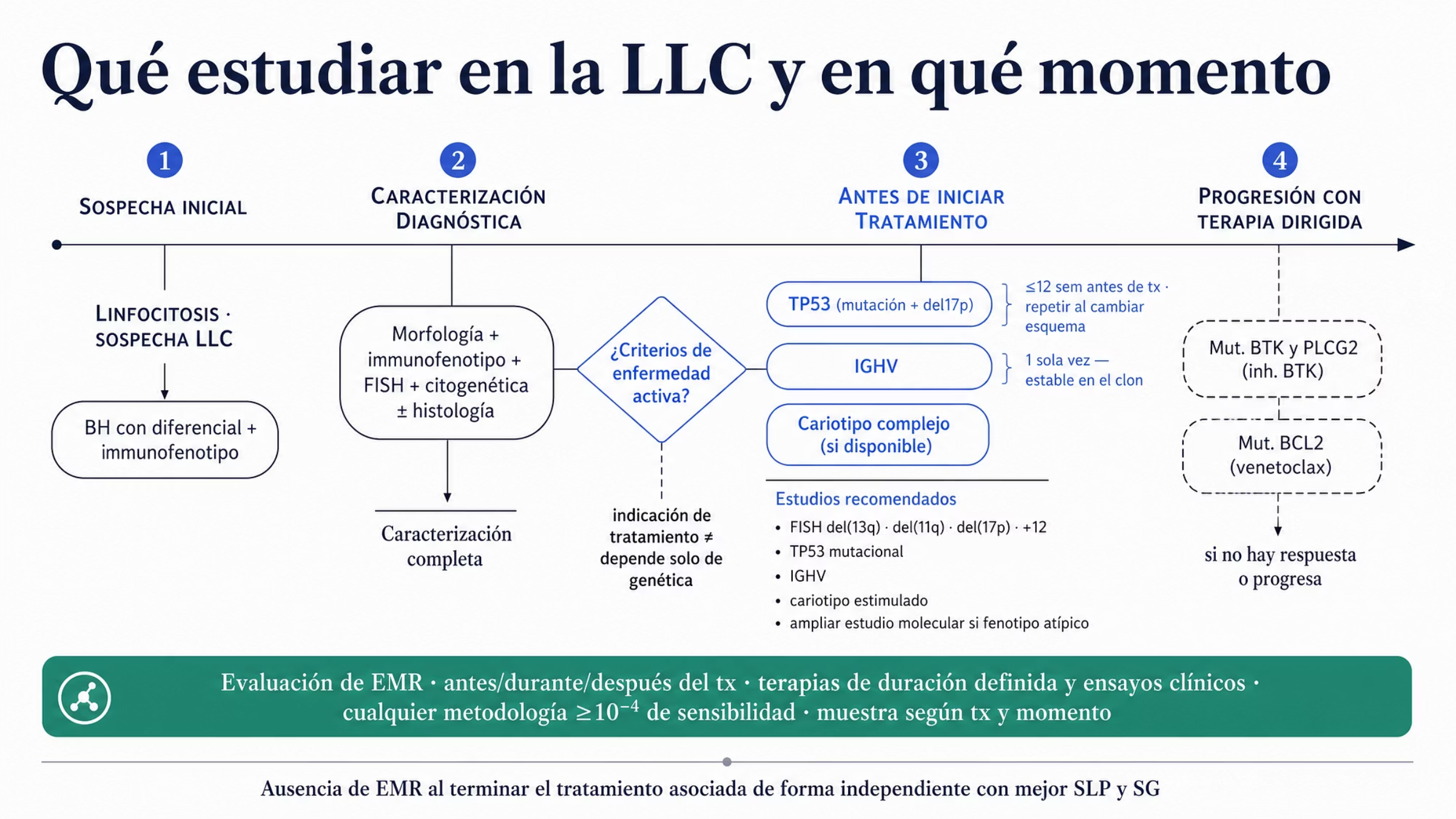 Algoritmo horizontal con cuatro momentos del estudio de la leucemia linfocítica crónica. Sospecha inicial con biometría hemática con diferencial e inmunofenotipo. Caracterización diagnóstica con morfología, inmunofenotipo, FISH, citogenética e histología cuando el caso lo amerita. Un nodo de decisión recuerda que la indicación de tratamiento exige criterios clínicos de enfermedad activa. Antes de iniciar tratamiento deben conocerse TP53 por mutación y del(17p), el estado de IGHV y, en muchos contextos, el cariotipo complejo, junto con FISH para del(13q), del(11q), del(17p) y trisomía 12 y cariotipo estimulado cuando esté disponible; IGHV se determina una sola vez y TP53 se repite antes de cambiar de esquema. Una rama punteada de progresión con terapia dirigida indica buscar mutaciones de BTK y PLCG2 con inhibidores de BTK y de BCL2 con venetoclax. Una banda inferior señala que la enfermedad medible residual se evalúa antes, durante o después del tratamiento con una sensibilidad mínima de 10 a la menos cuatro.