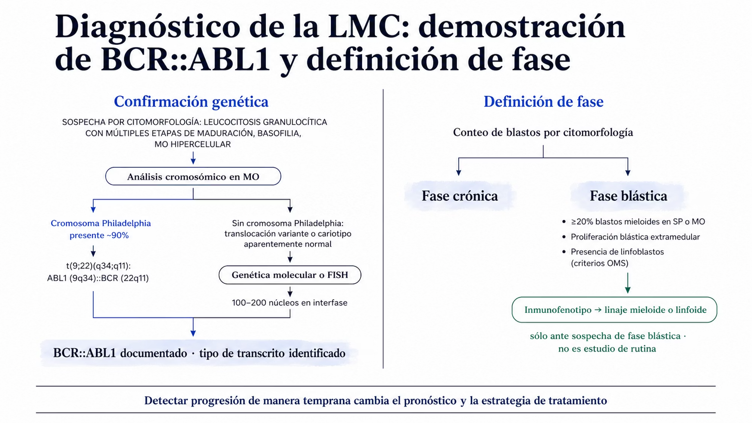Diagrama de dos carriles. El carril izquierdo va de la sospecha citomorfológica al análisis cromosómico y se bifurca en cromosoma Philadelphia presente, en alrededor de 90% de los pacientes, derivado de t(9;22)(q34;q11) que fusiona ABL1 con BCR, o ausencia de cromosoma Philadelphia por translocación variante o cariotipo aparentemente normal, rama en la que FISH o genética molecular demuestran la fusión; ambas ramas convergen en BCR::ABL1 documentado con identificación del tipo de transcrito. El carril derecho parte del conteo de blastos y separa fase crónica de fase blástica, definida por 20% o más de blastos mieloides, proliferación blástica extramedular o presencia de linfoblastos; sólo de la fase blástica cuelga el inmunofenotipo, que define el linaje mieloide o linfoide de los blastos.