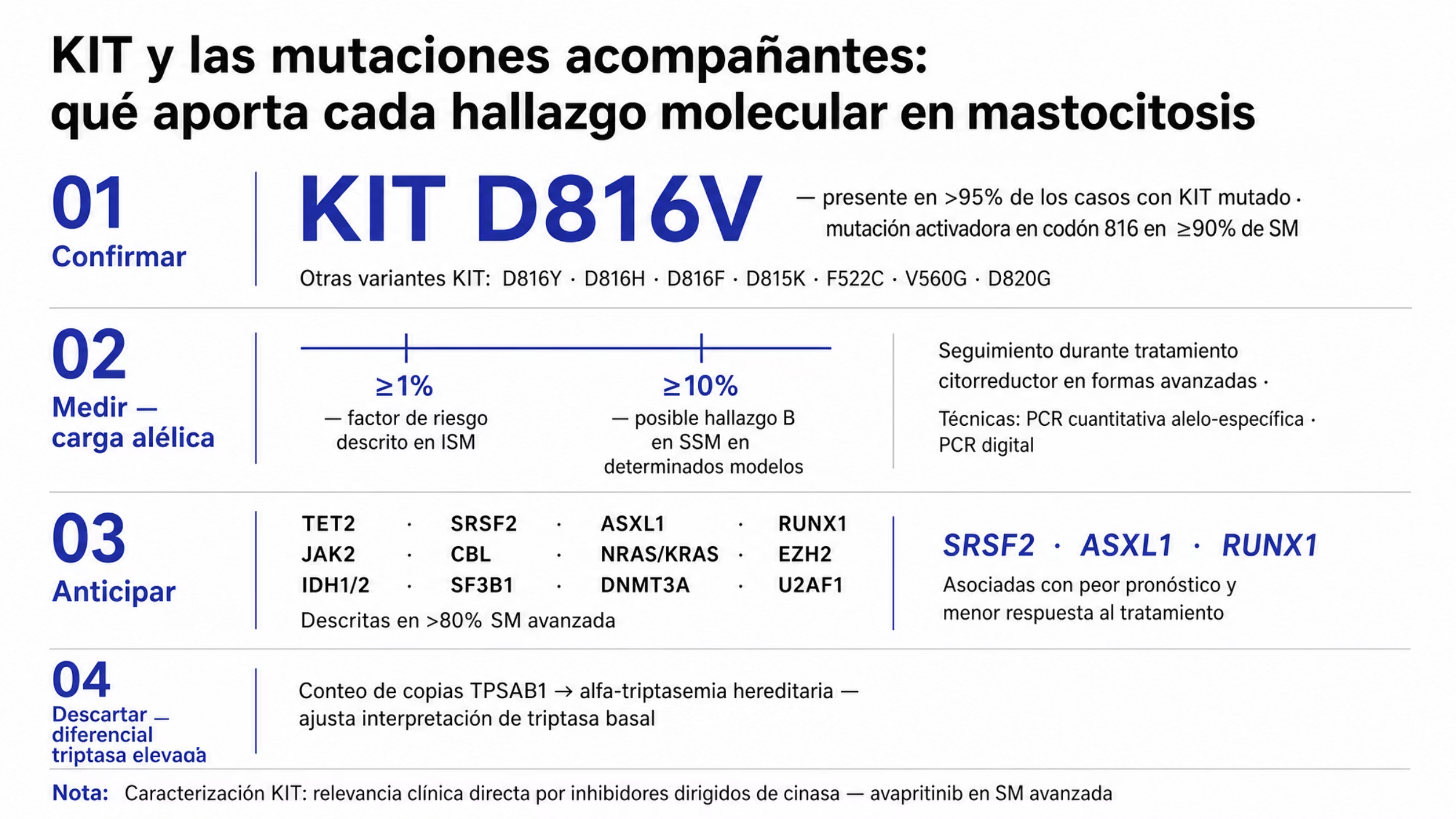 Mapa molecular de la mastocitosis organizado en cuatro franjas por utilidad clínica. La primera muestra la mutación activadora de KIT en el codón 816, presente en 90% o más de los casos sistémicos, con KIT D816V en más de 95% de los casos con KIT mutado, y las variantes alternativas descritas. La segunda presenta una escala de carga alélica con las marcas de 1% en la forma indolente y 10% como posible hallazgo B de la forma smoldering, además de su uso en el seguimiento. La tercera reúne los genes acompañantes descritos en más de 80% de las formas avanzadas y destaca SRSF2, ASXL1 y RUNX1 por su asociación con peor pronóstico. La cuarta muestra el conteo de copias de TPSAB1 para el diagnóstico diferencial de triptasa elevada.