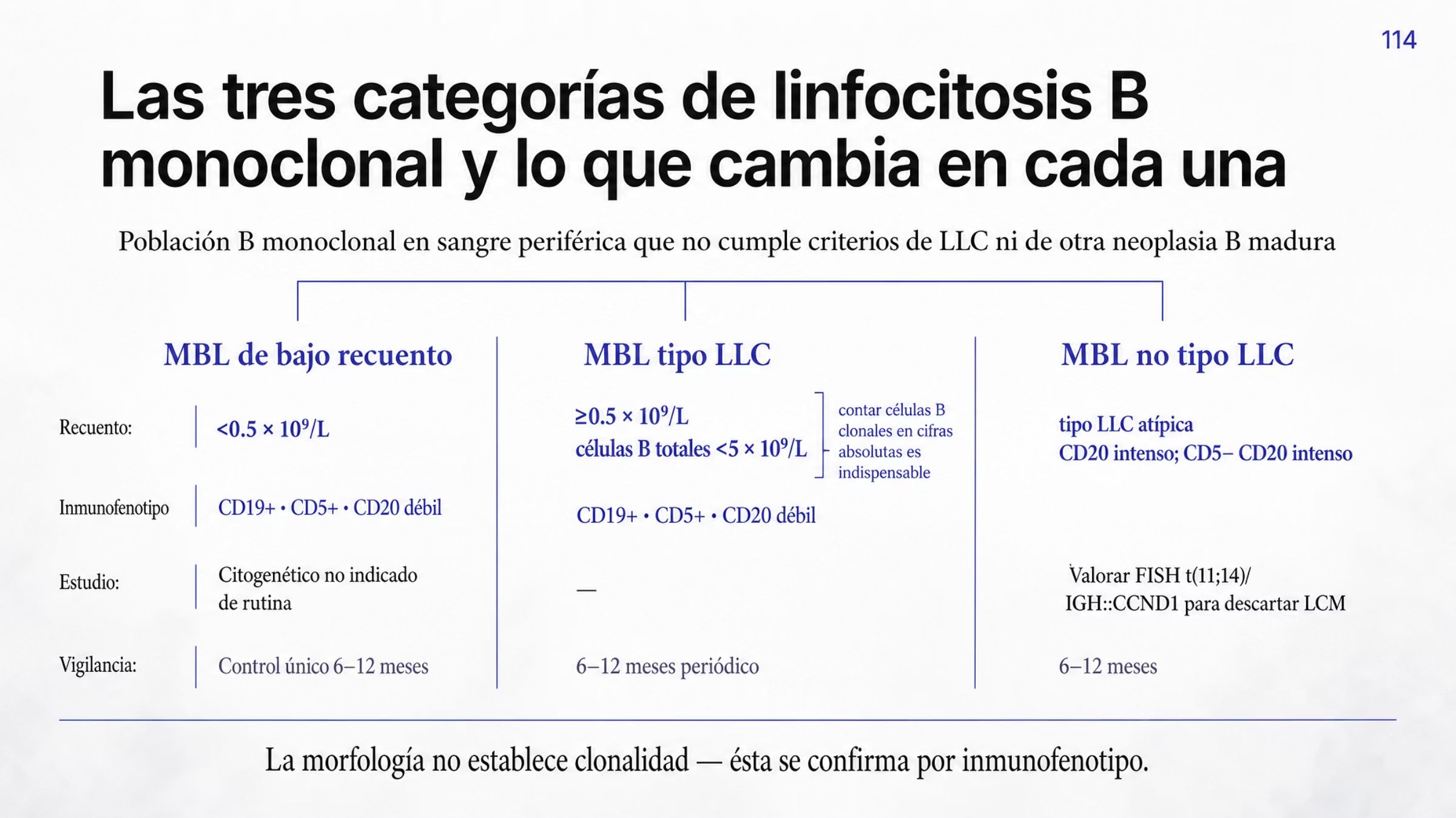 Composición jerárquica que parte de una población B monoclonal en sangre periférica que no cumple criterios de LLC ni de otra neoplasia B madura, y se abre en tres categorías. La MBL de bajo recuento tiene fenotipo tipo LLC por debajo de 0.5 por diez a la novena por litro, no requiere estudio citogenético de rutina y admite un control único a los seis a doce meses. La MBL tipo LLC tiene fenotipo tipo LLC igual o mayor de 0.5 por diez a la novena por litro con células B totales por debajo de 5 por diez a la novena por litro y sin los demás criterios de LLC, con controles periódicos cada seis a doce meses. La MBL no tipo LLC tiene fenotipo distinto, con CD19 positivo, CD5 negativo y CD20 intenso, y en ella, igual que en la variante tipo LLC atípica con CD20 intenso, se valora FISH para la translocación 11;14 con IGH::CCND1 para descartar linfoma de células del manto. Una nota final recuerda que la morfología no establece clonalidad y que ésta se confirma por inmunofenotipo.