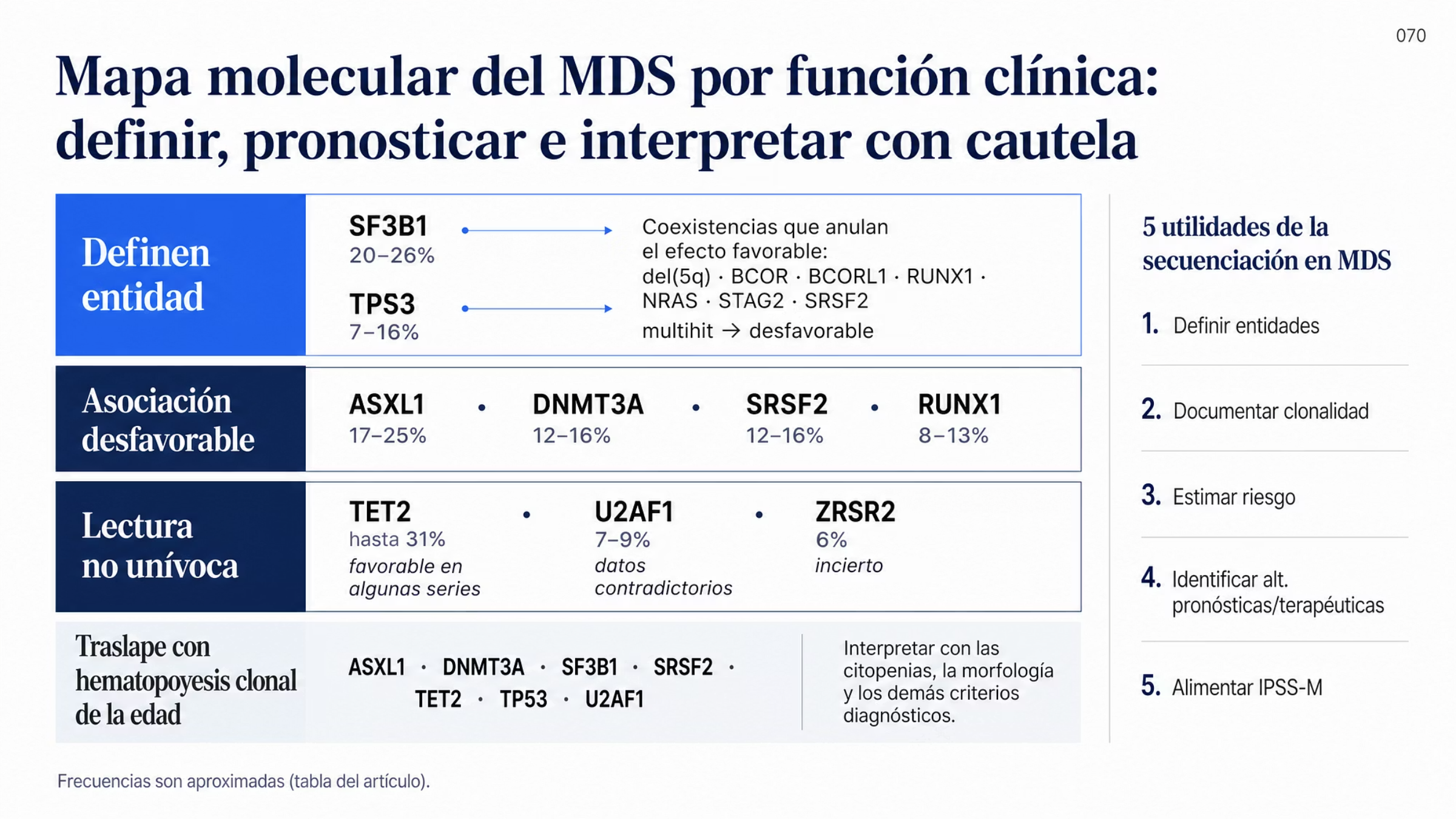 Mapa molecular del MDS en cuatro franjas por función clínica. La primera reúne los genes que participan en la definición de entidades: SF3B1 con frecuencia aproximada de 20 a 26% y TP53 con 7 a 16%, desfavorable sobre todo en su forma multihit. La segunda agrupa las mutaciones frecuentes con asociación desfavorable: ASXL1, DNMT3A, SRSF2 y RUNX1 con sus intervalos. La tercera reúne las de lectura no unívoca: TET2, favorable en algunas series, U2AF1 con datos contradictorios y ZRSR2 incierto. La cuarta muestra los genes que también aparecen en la hematopoyesis clonal relacionada con la edad y que deben interpretarse junto con las citopenias, la morfología y los demás criterios. Una nota advierte que el efecto favorable de SF3B1 no aplica si coexisten deleción 5q o mutaciones de BCOR, BCORL1, RUNX1, NRAS, STAG2 o SRSF2.