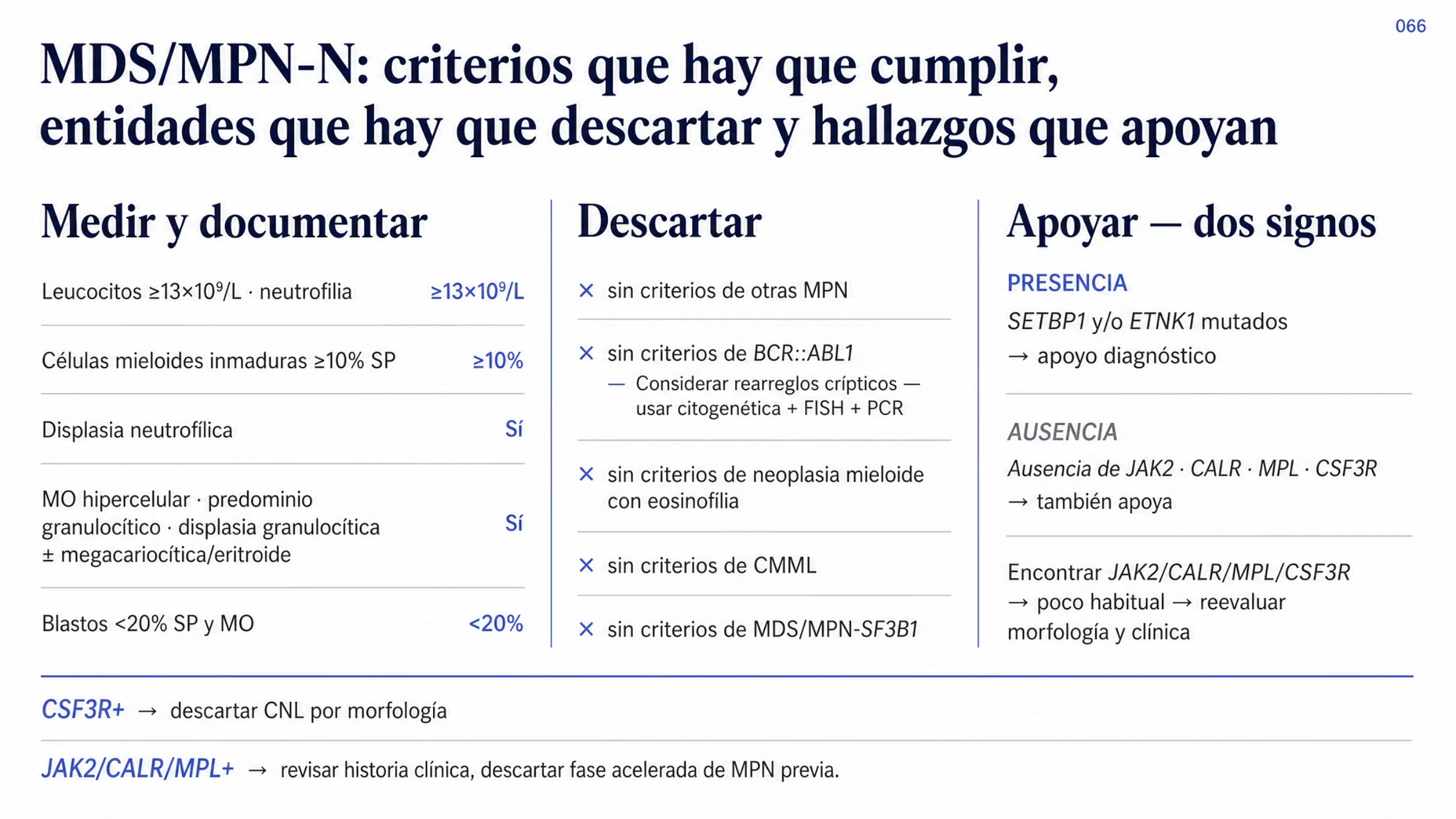 Algoritmo en tres zonas para el diagnóstico de la neoplasia mielodisplásica o mieloproliferativa con neutrofilia. La primera zona, medir y documentar, reúne cinco criterios: leucocitosis de 13 × 10⁹/L o más con neutrofilia, 10% o más de células mieloides inmaduras circulantes entre promielocitos, mielocitos y metamielocitos, displasia neutrofílica, médula ósea hipercelular con predominio granulocítico y displasia granulocítica, y menos de 20% de blastos en sangre periférica y médula ósea. La segunda zona, descartar, enumera cinco exclusiones: otras neoplasias mieloproliferativas, BCR::ABL1, neoplasia mieloide con eosinofilia y rearreglo definitorio, leucemia mielomonocítica crónica y MDS/MPN con mutación SF3B1 y trombocitosis, con la nota de que los rearreglos crípticos o los transcritos alternativos de BCR::ABL1 pueden requerir citogenética, FISH y PCR. La tercera zona, apoyar, distingue la presencia de mutación de SETBP1 o ETNK1 de la ausencia de mutaciones de JAK2, CALR, MPL y CSF3R. Al pie, dos redirecciones: ante mutación de CSF3R descartar leucemia neutrofílica crónica y ante mutación de JAK2, CALR o MPL descartar la fase acelerada de una MPN previa.