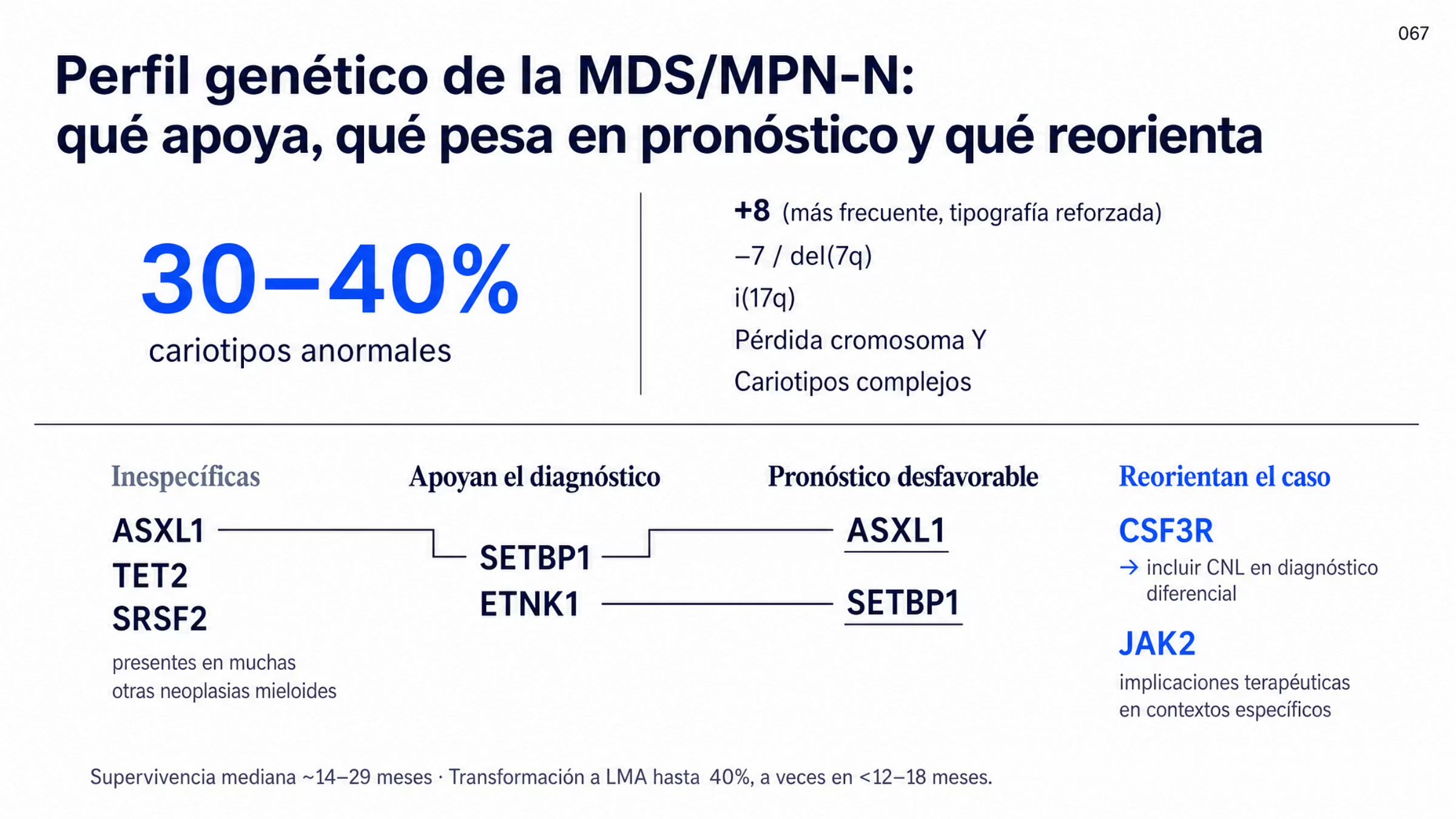 Mapa genético de la neoplasia mielodisplásica o mieloproliferativa con neutrofilia, dividido en dos mitades. Arriba, el bloque citogenético indica cariotipo anormal en cerca de 30 a 40% de los casos, con la trisomía 8 como alteración más frecuente, además de monosomía 7 o deleción 7q, isocromosoma 17q, pérdida del cromosoma Y y cariotipos complejos. Abajo, cuatro columnas agrupan los genes por función clínica: frecuentes pero inespecíficas, con ASXL1, TET2 y SRSF2; apoyan el diagnóstico, con SETBP1 y ETNK1; pronóstico desfavorable, con ASXL1 y SETBP1; y reorientan el caso, con CSF3R, que obliga a considerar la leucemia neutrofílica crónica, y JAK2, cuyas alteraciones junto con las de CSF3R pueden tener implicaciones terapéuticas en contextos específicos. Una nota señala que un mismo gen puede apoyar el diagnóstico y marcar peor pronóstico.