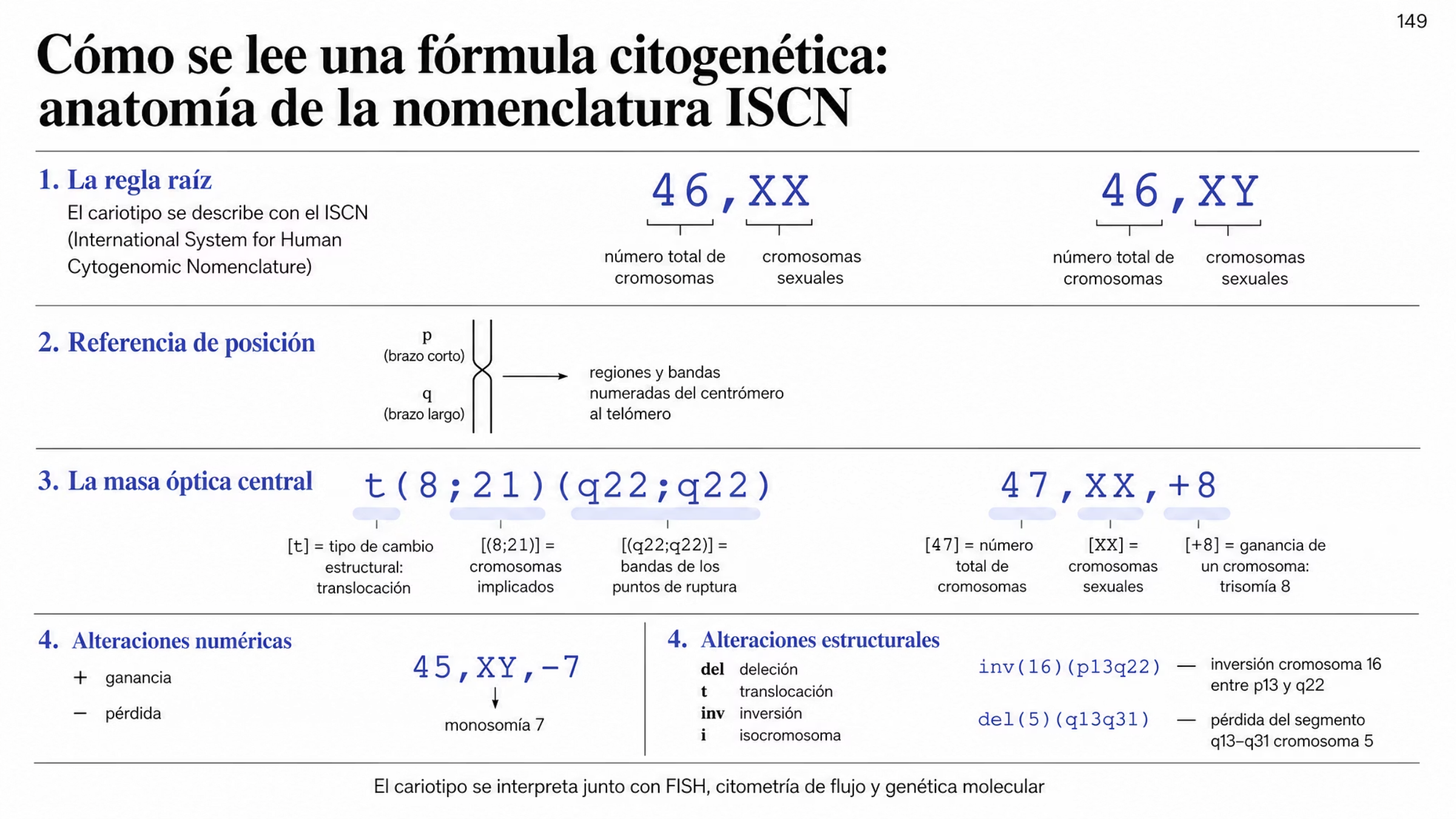 Figura que desarma la nomenclatura del cariotipo. Se indica que el cariotipo se describe con el International System for Human Cytogenomic Nomenclature (ISCN) y que toda fórmula empieza con el número total de cromosomas y los cromosomas sexuales: 46,XX corresponde a un cariotipo femenino sin alteraciones numéricas aparentes y 46,XY a uno masculino sin alteraciones numéricas aparentes. Un cromosoma esquemático muestra el brazo corto p y el brazo largo q separados por el centrómero, con la indicación de que las regiones y bandas se numeran del centrómero hacia el telómero. En el centro, la fórmula t(8;21)(q22;q22) aparece dividida en tres partes anotadas: la abreviatura t, que indica translocación; el primer paréntesis, que nombra los cromosomas implicados 8 y 21; y el segundo paréntesis, que da las bandas de los puntos de ruptura, q22 en ambos. Junto a ella, 47,XX,+8 se divide en número total de cromosomas, cromosomas sexuales y ganancia del cromosoma 8, es decir trisomía 8. Al lado se recogen las dos familias de alteración: en las numéricas, la ganancia se indica con el signo más y la pérdida con el signo menos, con el ejemplo 45,XY,−7 como monosomía 7; en las estructurales, las abreviaturas del para deleciones, t para translocaciones, inv para inversiones e i para isocromosomas, con los ejemplos inv(16)(p13q22), inversión dentro del cromosoma 16 entre p13 y q22, y del(5)(q13q31), pérdida del segmento comprendido entre q13 y q31 del cromosoma 5.