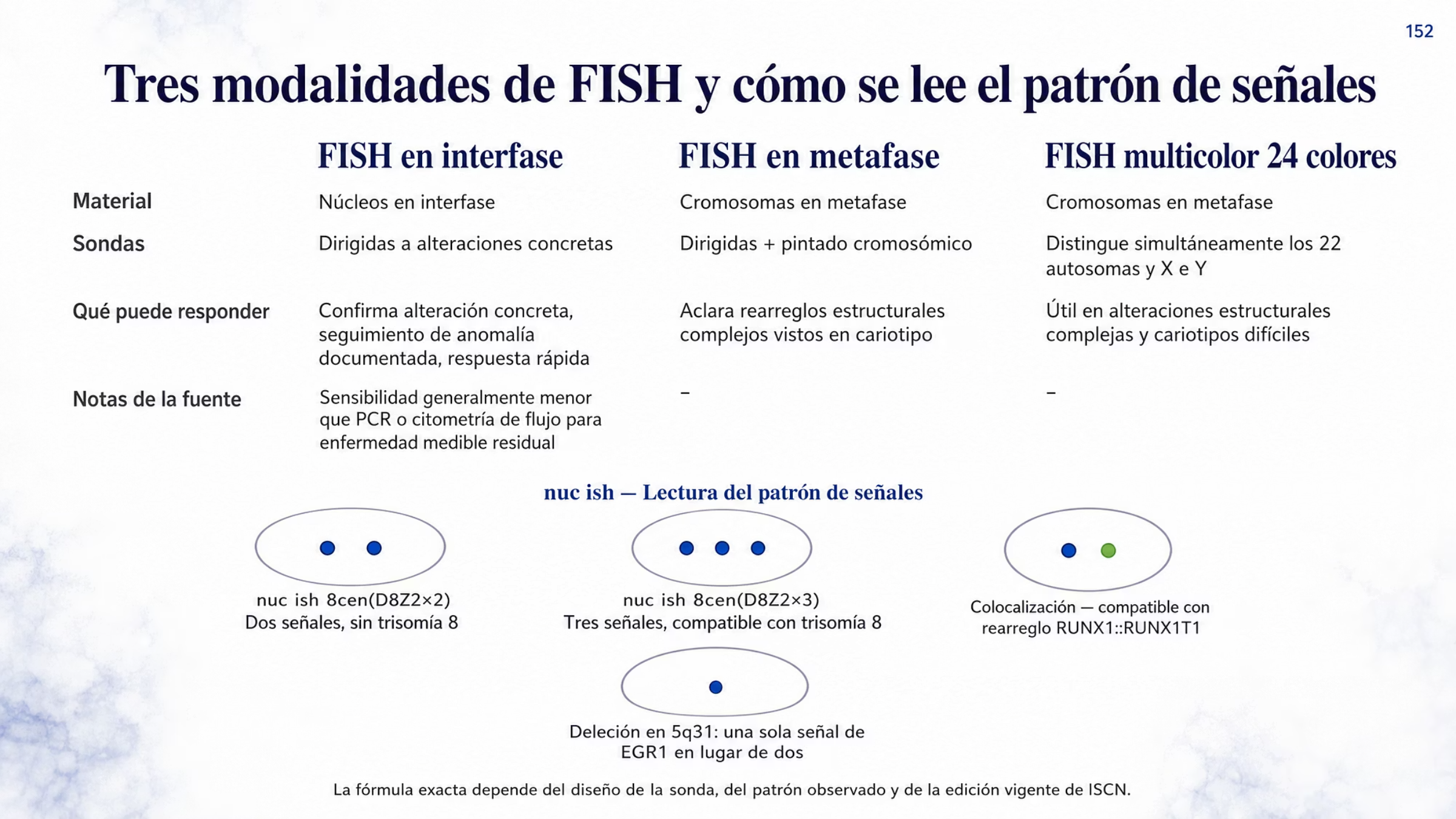 Figura de elección entre tres modalidades de hibridación in situ fluorescente, comparadas por material, sondas y pregunta que responden. La FISH en interfase se hace en núcleos en interfase, usa sondas dirigidas de paneles bien establecidos, complementa el cariotipo, busca alteraciones submicroscópicas, da respuesta rápida sobre una alteración concreta y en algunos contextos da seguimiento a una anomalía ya documentada, con la nota de que su sensibilidad suele ser menor que la de la PCR o la citometría de flujo para enfermedad residual. La FISH en metafase se hace en cromosomas en metafase, admite sondas dirigidas y sondas de pintado cromosómico que marcan gran parte o todo un cromosoma, y ayuda a aclarar rearreglos estructurales complejos vistos en el cariotipo. La FISH multicolor de 24 colores distingue al mismo tiempo los 22 autosomas y los cromosomas X e Y en metafase, y sirve para estudiar alteraciones estructurales complejas y apoyar la interpretación de cariotipos difíciles. En la parte inferior, una franja encabezada por el prefijo nuc ish esquematiza el conteo de señales con círculos sobre el contorno de un núcleo: dos señales en nuc ish 8cen(D8Z2x2), que corresponden a la región centromérica del cromosoma 8, frente a tres señales en nuc ish 8cen(D8Z2x3), compatibles con trisomía 8 en las células evaluadas; dos señales frente a una sola señal de EGR1, que puede reflejar una deleción en 5q31; y la colocalización de dos sondas distintas para el rearreglo RUNX1::RUNX1T1. Al pie se indica que la fórmula exacta depende del diseño de la sonda, del patrón observado y de la edición vigente de ISCN.