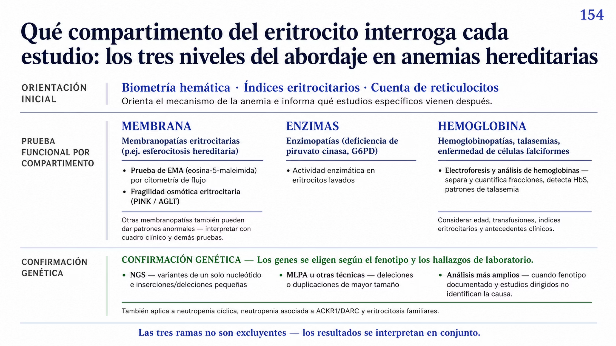 Figura de tres niveles sobre el estudio de las anemias hereditarias. En el nivel superior, la orientación inicial con la biometría hemática, los índices eritrocitarios y la cuenta de reticulocitos, base para evaluar muchas anemias, con la que se orienta el mecanismo y se interpretan mejor los estudios posteriores. En el nivel intermedio, tres ramas paralelas según el compartimento del eritrocito que está fallando. Membrana: membranopatías eritrocitarias como la esferocitosis hereditaria, interrogadas por la prueba de EMA con eosina-5-maleimida por citometría de flujo, donde la fluorescencia suele estar disminuida en la esferocitosis hereditaria aunque otras membranopatías también pueden dar patrones anormales, y por la fragilidad osmótica con pruebas como PINK/AGLT, que aporta evidencia funcional de un defecto de membrana y se interpreta junto con la morfología, la prueba de EMA y los estudios moleculares. Enzimas: enzimopatías como la deficiencia de piruvato cinasa o de G6PD, interrogadas por la medición de actividad enzimática en eritrocitos lavados. Hemoglobina: hemoglobinopatías, talasemias y enfermedad de células falciformes, interrogadas por la electroforesis y el análisis de hemoglobinas, que separa y cuantifica las fracciones y detecta hemoglobinas anormales como HbS, y cuya interpretación exige tomar en cuenta la edad, las transfusiones, los índices eritrocitarios y los antecedentes clínicos. En el nivel inferior, la confirmación genética guiada por el fenotipo, con NGS para variantes de un solo nucleótido e inserciones o deleciones pequeñas, técnicas como MLPA para deleciones o duplicaciones de mayor tamaño y análisis más amplios en casos seleccionados; los genes se eligen según el fenotipo y los hallazgos de laboratorio, y la genética complementa o confirma el hallazgo funcional, sobre todo ante resultados limítrofes o variantes de significado incierto. Una línea final indica que el abordaje genético también sirve para estudiar la neutropenia cíclica, la neutropenia asociada a ACKR1/DARC y las eritrocitosis familiares, y que las tres ramas no son excluyentes.