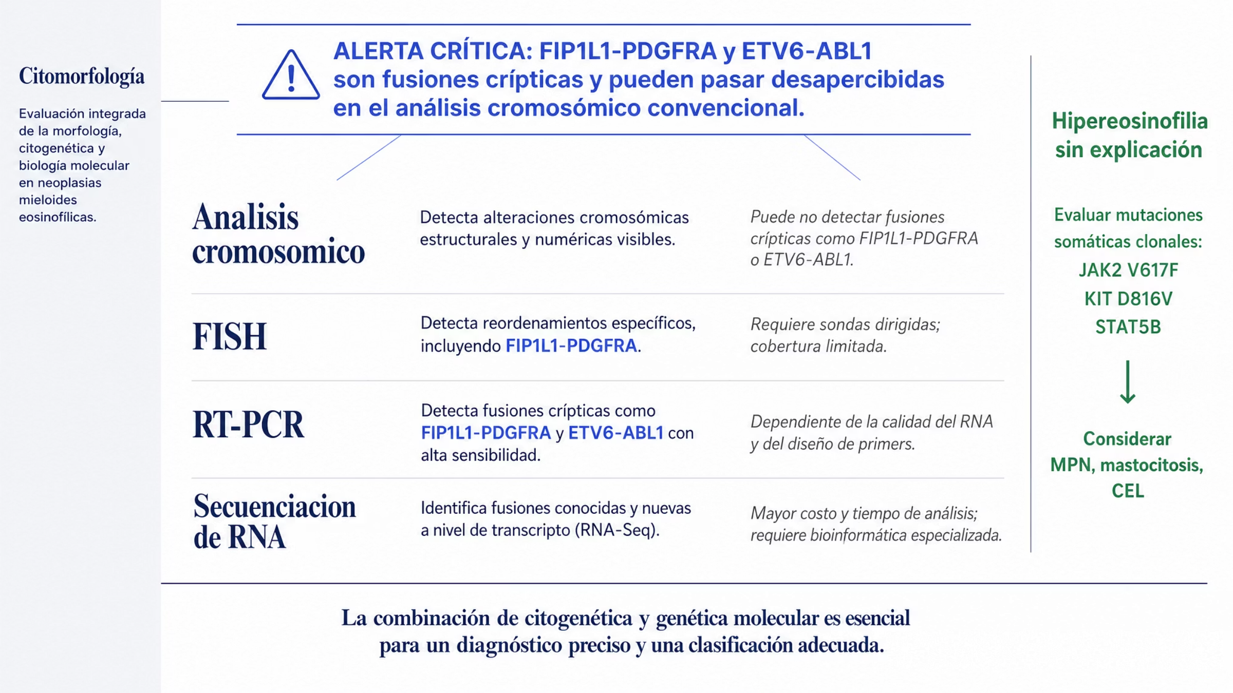 Figura de elección de estudios en las neoplasias mieloides o linfoides con eosinofilia y rearreglos de tirosina cinasa. A la izquierda, la citomorfología como punto de partida. En el centro, cuatro métodos con lo que detecta cada uno y su limitación: el análisis cromosómico reconoce muchas fusiones e identifica los genes pareja junto con FISH, pero no ve los rearreglos crípticos; el FISH detecta FIP1L1::PDGFRA, originado casi siempre en una deleción de alrededor de 800 kilobases en 4q12 que incluye CHIC2, y ofrece sondas para PDGFRA en 4q12, PDGFRB en 5q32 y 5q33, FGFR1 en 8p11 y JAK2 en 9p24; la RT-PCR detecta FIP1L1::PDGFRA, ETV6::PDGFRB, ZMYM2::FGFR1, PCM1::JAK2 y ETV6::ABL1 y sirve para el seguimiento molecular; la secuenciación de RNA identifica genes pareja poco frecuentes. Un aviso destacado señala que FIP1L1::PDGFRA y ETV6::ABL1 son crípticos. A la derecha, ante hipereosinofilia sin explicación, se buscan JAK2 V617F, alteraciones del exón 13 de JAK2, KIT D816V y STAT5B, que pueden apuntar a MPN, mastocitosis o CEL.