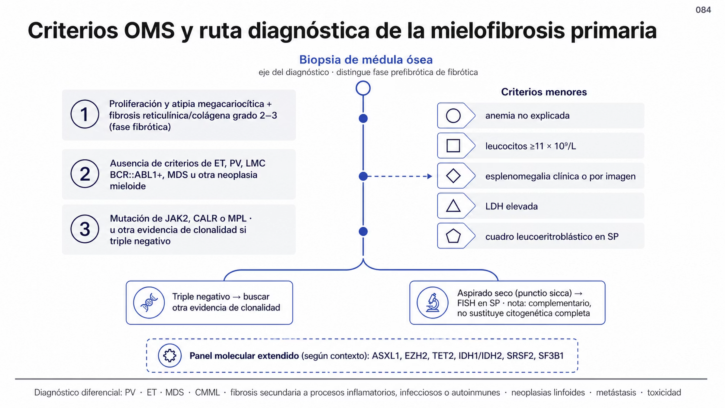 Algoritmo vertical del diagnóstico de mielofibrosis primaria. Parte de la distinción entre fase prefibrótica y fibrótica, para la que la biopsia de médula ósea es indispensable. A la izquierda, los tres criterios mayores de la fase fibrótica: proliferación y atipia megacariocítica con fibrosis reticulínica o colágena grado 2 o 3; ausencia de criterios de ET, PV, LMC BCR::ABL1 positiva, MDS u otra neoplasia mieloide; y mutación de JAK2, CALR o MPL, u otra evidencia de clonalidad si las tres son negativas. A la derecha, los cinco criterios menores: anemia no explicada, leucocitos mayores o iguales a 11 por 10 a la nueve por litro, esplenomegalia, LDH elevada y cuadro leucoeritroblástico. Dos ramas laterales indican qué hacer ante un triple negativo y ante un aspirado imposible de obtener, donde FISH en sangre periférica es complementario. Al pie, el diagnóstico diferencial con PV, ET, MDS, CMML y las causas de fibrosis secundaria.