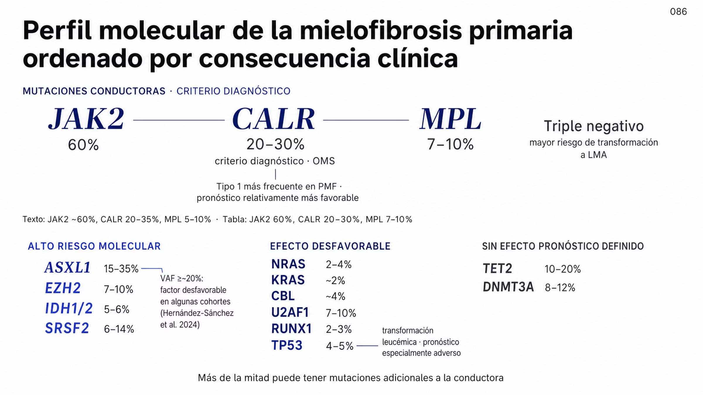 Mapa molecular en dos zonas. Arriba, las mutaciones conductoras que sirven como criterio diagnóstico: JAK2 en 60%, CALR en 20 a 30% y MPL en 7 a 10%, junto con el caso triple negativo, sin alteraciones en esos tres genes y con mayor riesgo de transformación a leucemia mieloide aguda; una nota indica que CALR tipo 1 es más frecuente en la mielofibrosis primaria que el tipo 2 y tiene pronóstico relativamente más favorable. Abajo, los genes ordenados por consecuencia clínica: alto riesgo molecular con ASXL1 en 15 a 35%, EZH2 en 7 a 10%, IDH1 e IDH2 en 5 a 6% y SRSF2 en 6 a 14%; efecto desfavorable con NRAS, KRAS, CBL, U2AF1, RUNX1 y TP53 en 4 a 5%, éste último asociado con transformación leucémica; y sin efecto pronóstico definido, TET2 en 10 a 20% y DNMT3A en 8 a 12%. Junto a ASXL1 se señala que en algunas cohortes una carga de variante cercana o superior a 20% se describió como factor desfavorable.
