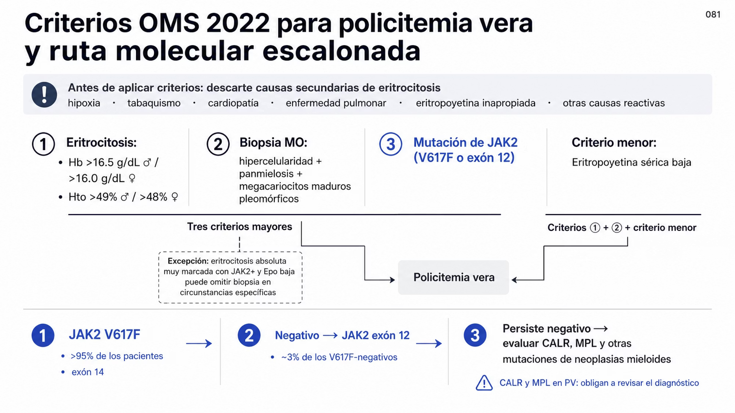 Algoritmo en tres bandas. Arriba, la indicación de descartar causas secundarias de eritrocitosis: hipoxia, tabaquismo, cardiopatía, enfermedad pulmonar, producción inapropiada de eritropoyetina y otras causas reactivas. En el centro, los tres criterios mayores de la OMS 2022 —eritrocitosis con hemoglobina mayor de 16.5 gramos por decilitro en hombres o 16.0 en mujeres, o hematocrito mayor de 49% en hombres o 48% en mujeres; biopsia de médula ósea con panmielosis y megacariocitos maduros y pleomórficos; mutación de JAK2 V617F o del exón 12— junto al criterio menor de eritropoyetina sérica baja, con dos trazos que indican que el diagnóstico requiere los tres criterios mayores o bien los dos primeros más el menor. Abajo, la secuencia molecular escalonada: primero JAK2 V617F, presente en 95% o más de los pacientes; si es negativo, el exón 12 de JAK2 en alrededor de 3% de esos casos; y si persiste negativo, CALR, MPL y otras mutaciones asociadas con neoplasias mieloides.