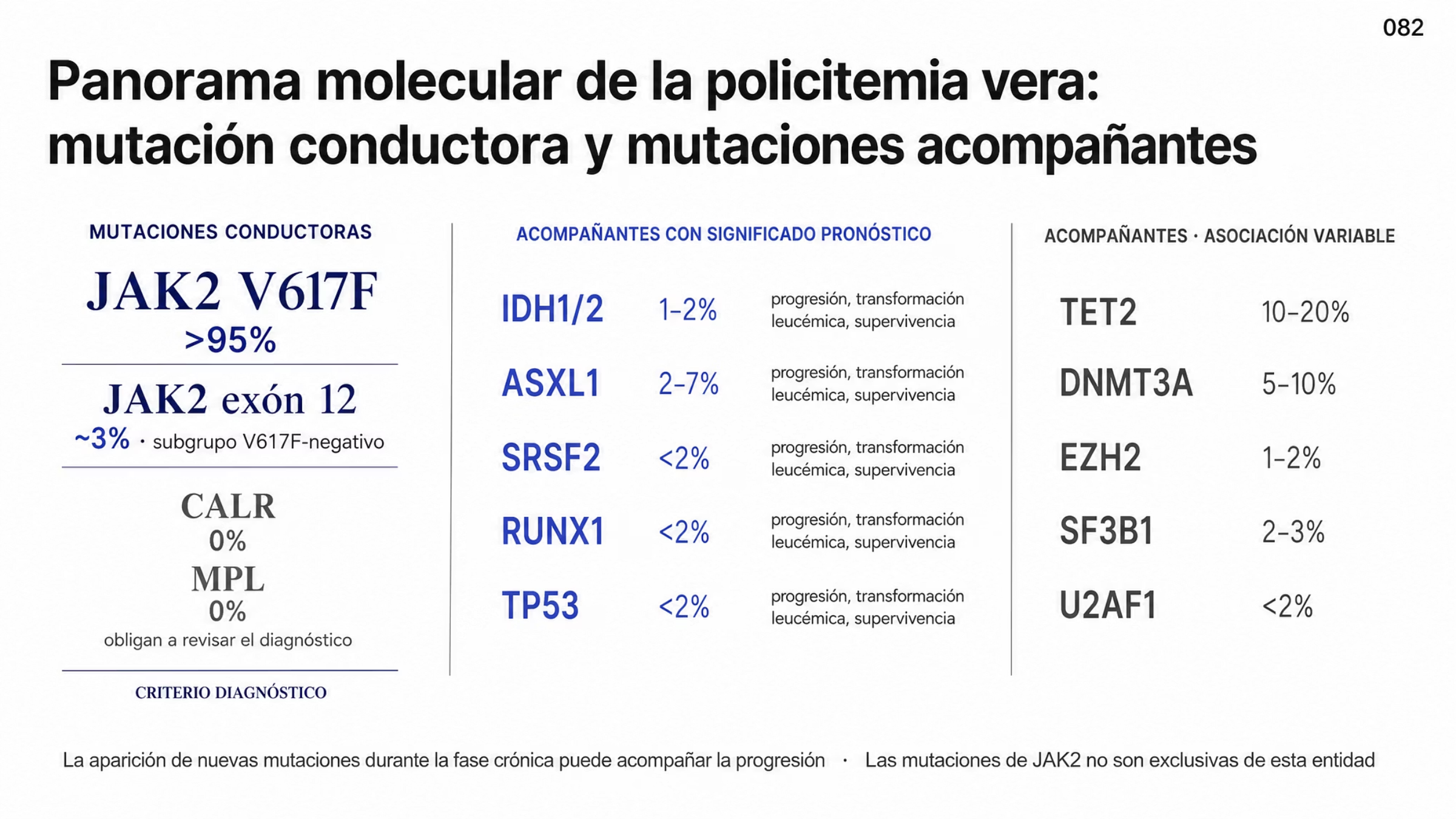 Mapa molecular en tres grupos. El primero reúne las mutaciones conductoras: JAK2 V617F en más de 95% de los pacientes y JAK2 exón 12 en alrededor de 3% del subgrupo V617F negativo, con MPL y CALR en 0%, no característicos y motivo para revisar el diagnóstico. El segundo grupo reúne las mutaciones acompañantes señaladas con transformación leucémica y supervivencia: IDH1/2 en 1 a 2%, ASXL1 en 2 a 7%, SRSF2 en menos de 2%, RUNX1 en menos de 2% y TP53 en menos de 2%. El tercero reúne las de asociación variable: TET2 en 10 a 20%, DNMT3A en 5 a 10%, SF3B1 en 2 a 3%, EZH2 en 1 a 2% y U2AF1 en menos de 2%. Notas finales indican que ASXL1, IDH2 y SRSF2 se han relacionado con peor pronóstico, que la aparición de nuevas mutaciones en la fase crónica puede acompañar a la progresión y que las mutaciones de JAK2 no son exclusivas de esta entidad.