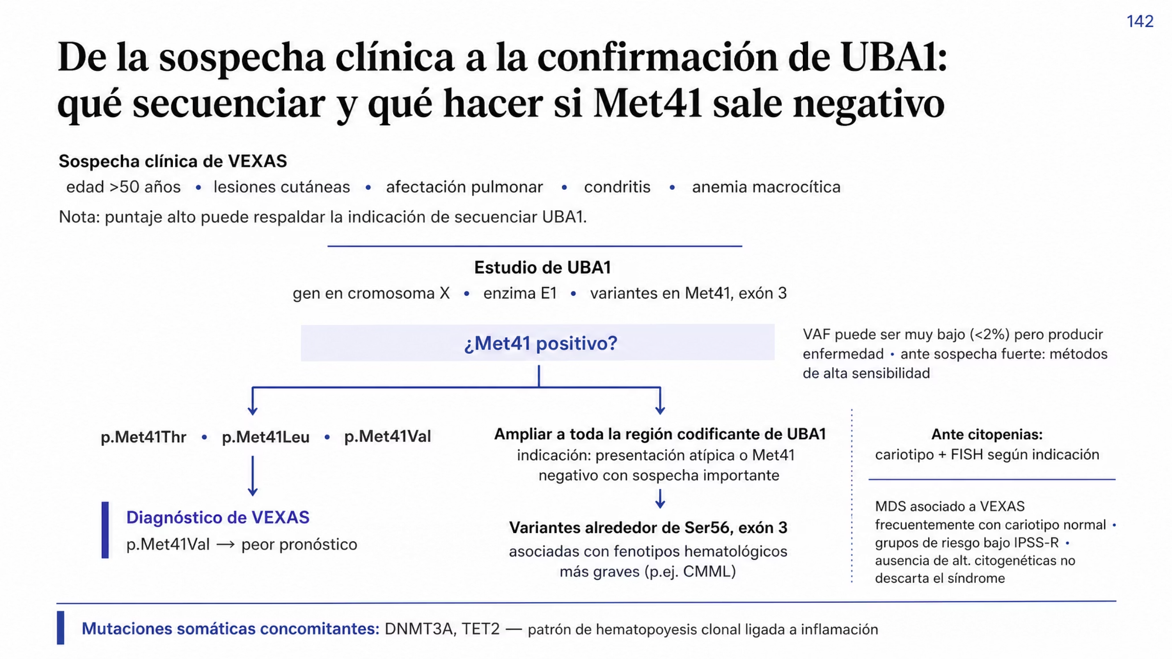 Algoritmo descendente. Entrada: sospecha clínica con puntaje que integra edad mayor de 50 años, lesiones cutáneas, afectación pulmonar, condritis y anemia macrocítica. Prueba: estudio de UBA1 dirigido a Met41 en el exón 3. Decisión sobre sensibilidad: hay variantes con fracción alélica menor de 2% capaces de producir enfermedad, por lo que puede hacer falta un método de alta sensibilidad. Rama positiva: p.Met41Thr, p.Met41Leu o p.Met41Val, esta última asociada con peor pronóstico. Rama de presentación atípica o Met41 negativo con sospecha alta: secuenciar toda la región codificante y buscar variantes alrededor de Ser56, asociadas en algunas series con fenotipos más graves y con CMML. Carril lateral ante citopenias: cariotipo y FISH, con la advertencia de que la mayoría de los MDS asociados tiene cariotipo normal. Cierre: son frecuentes las mutaciones concomitantes de DNMT3A y TET2.