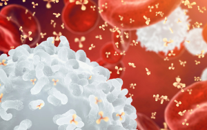 Diagrama del sistema inmunológico mostrando linfocitos, neutrófilos y células NK, esenciales en la respuesta contra infecciones y cáncer hematológico.